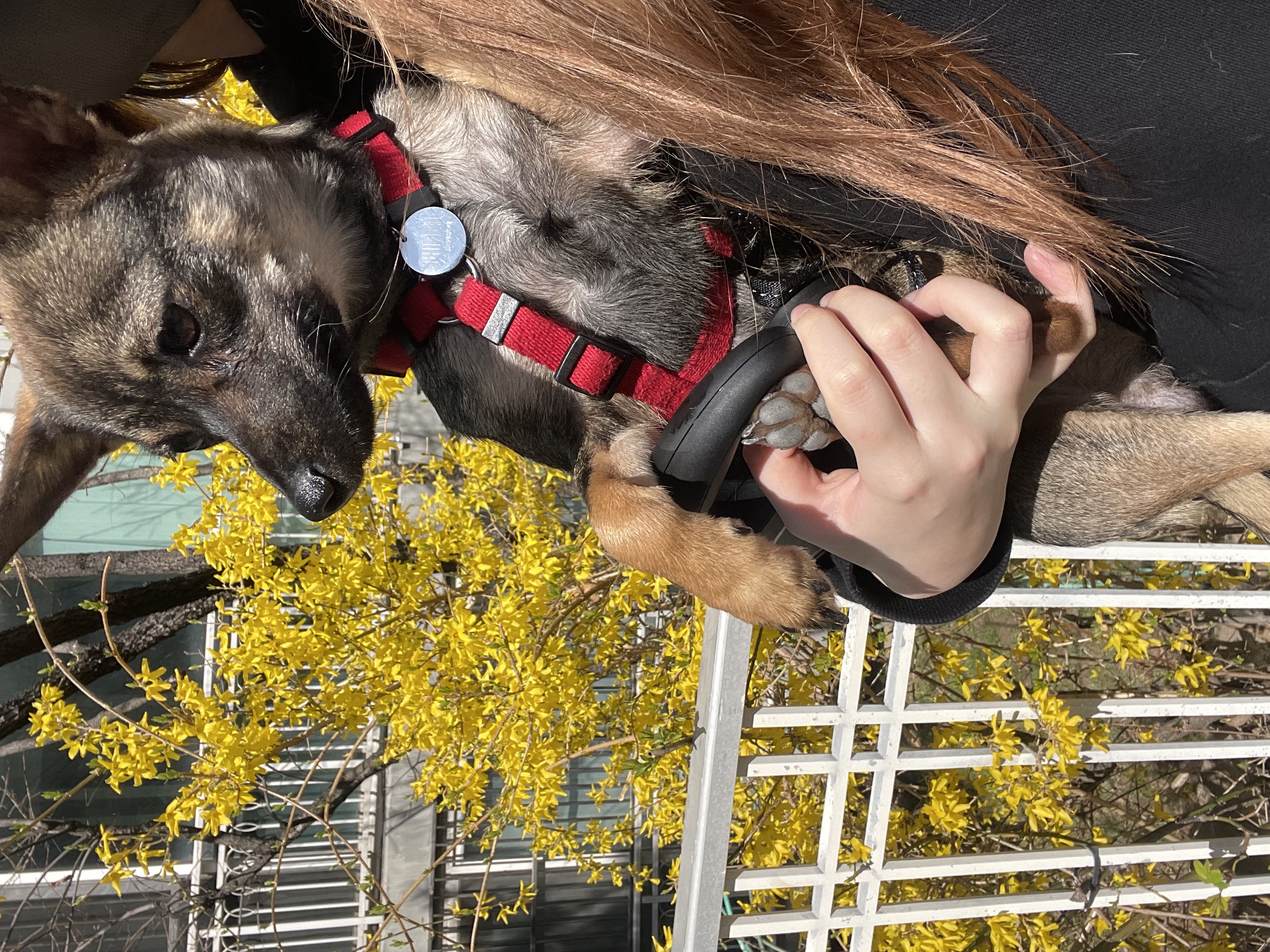 베러와의 세 달