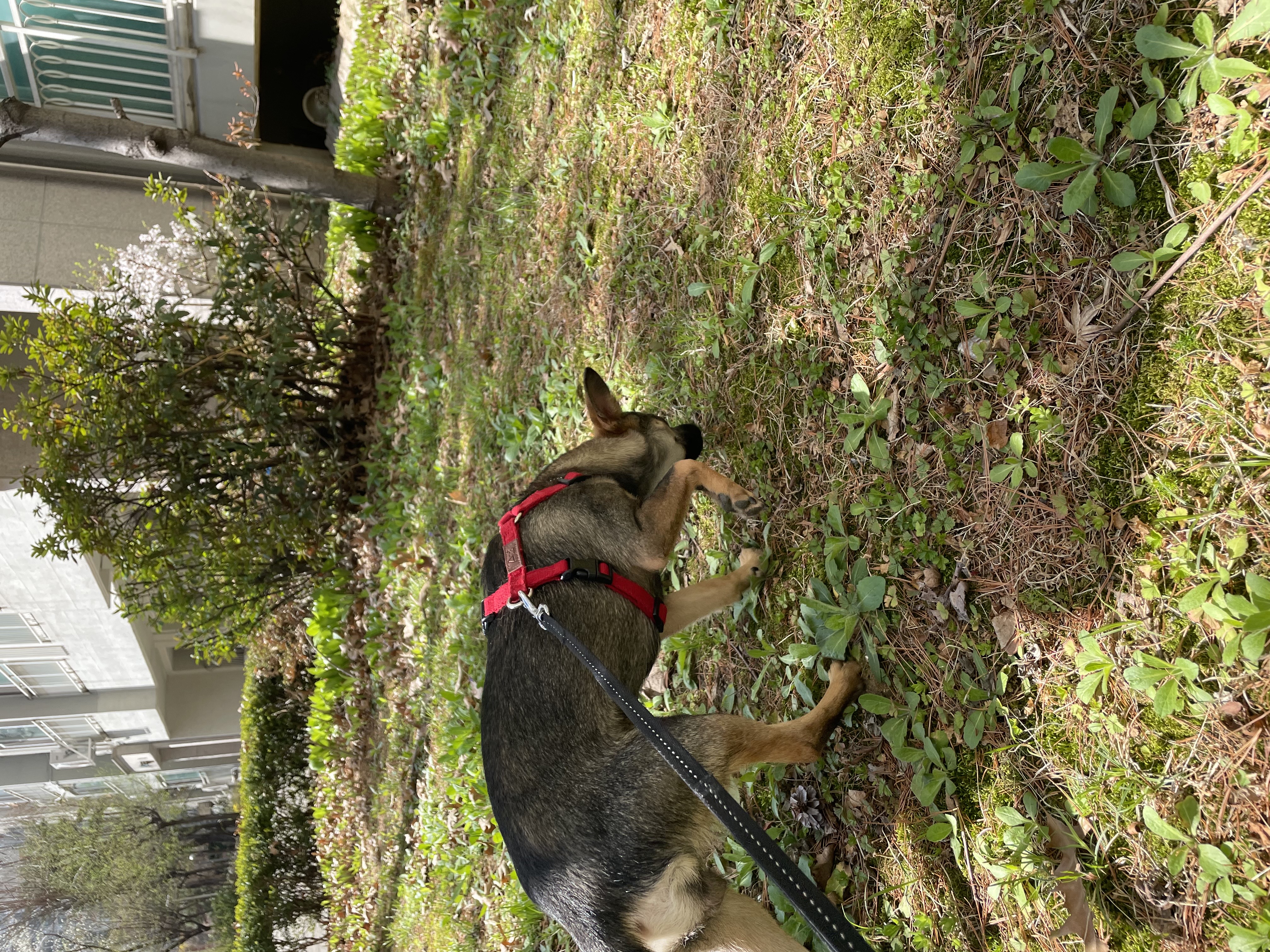 베러와의 세 달