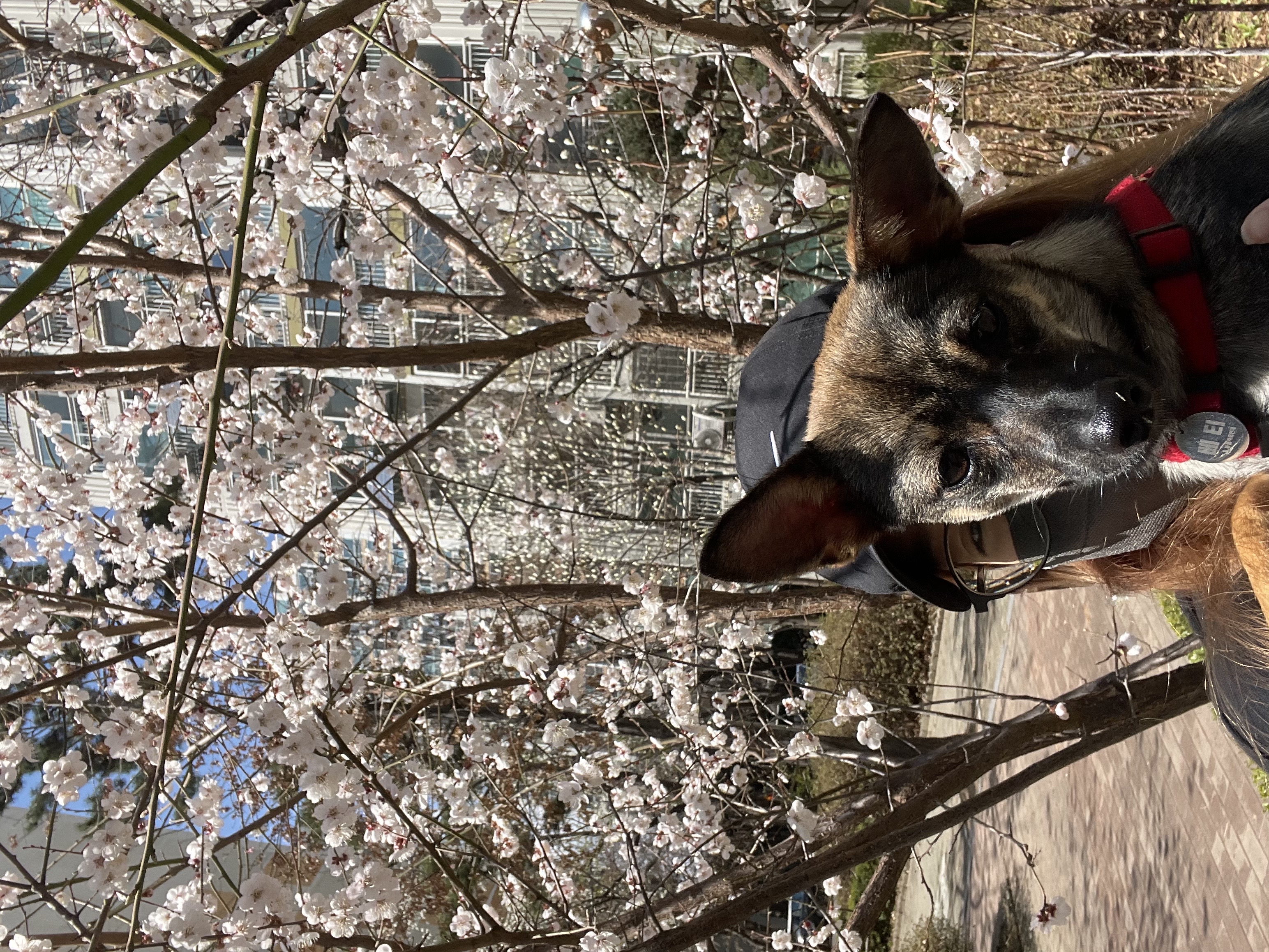 베러와의 세 달