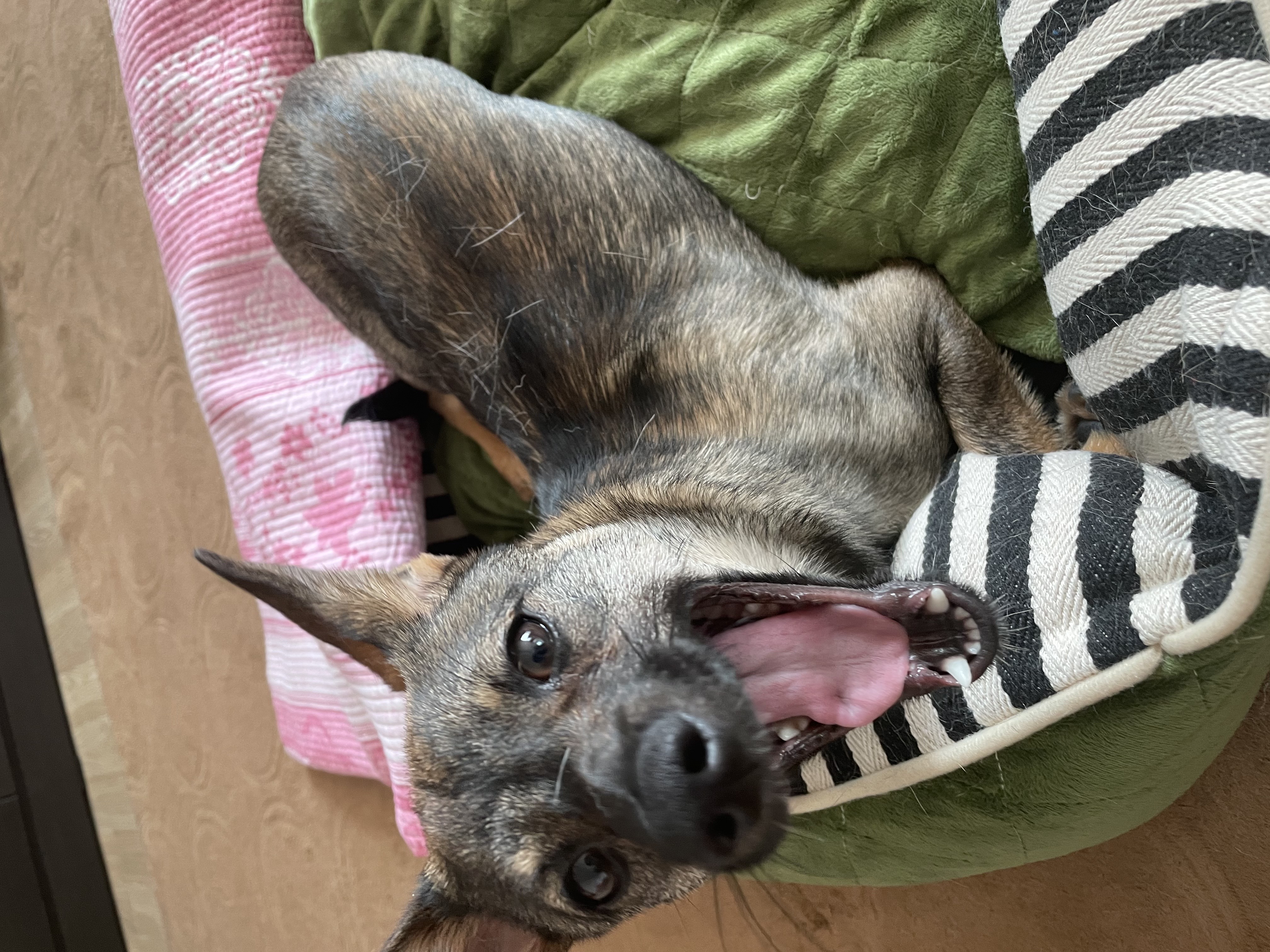 베러와의 세 달