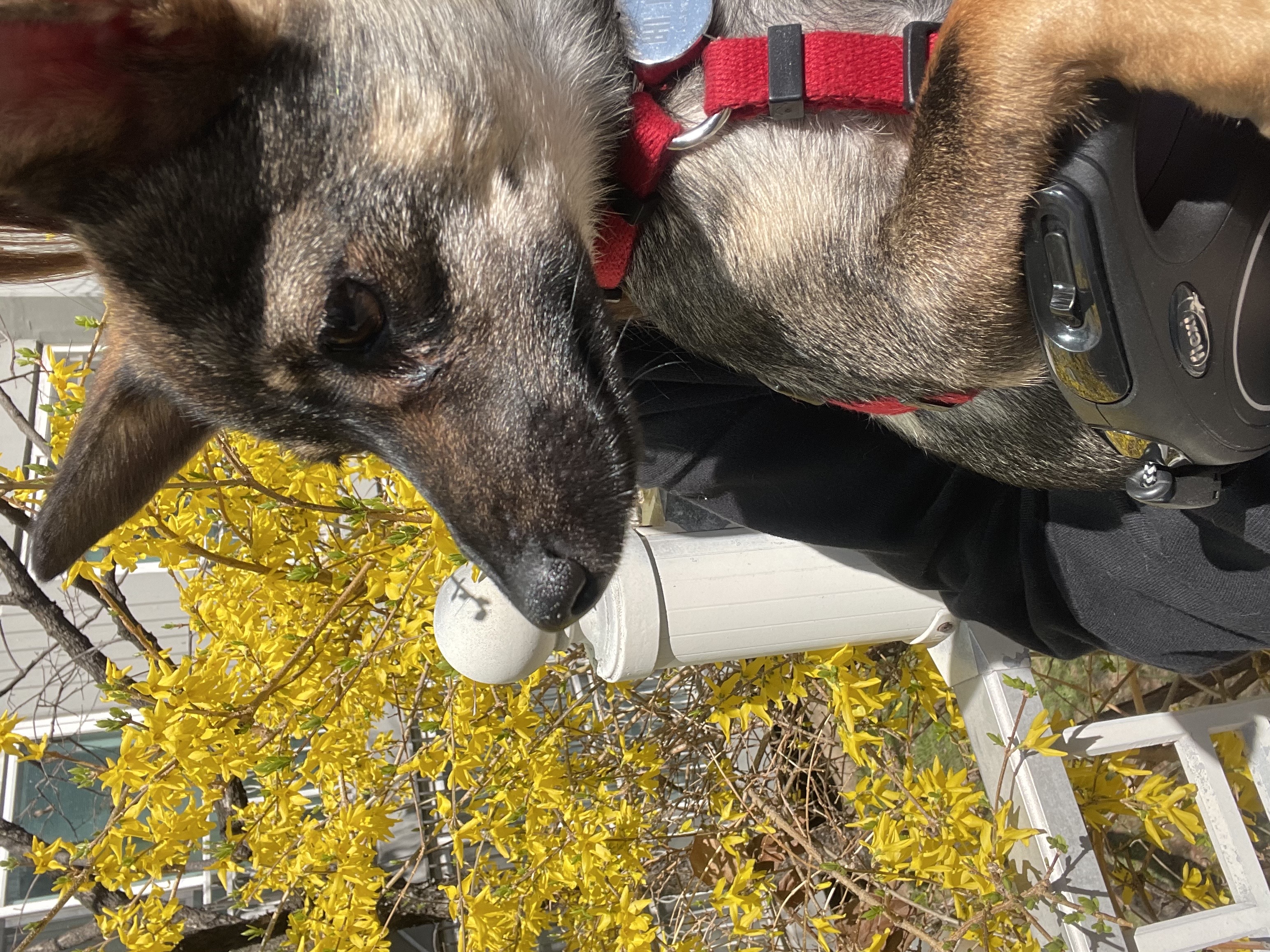 베러와의 세 달