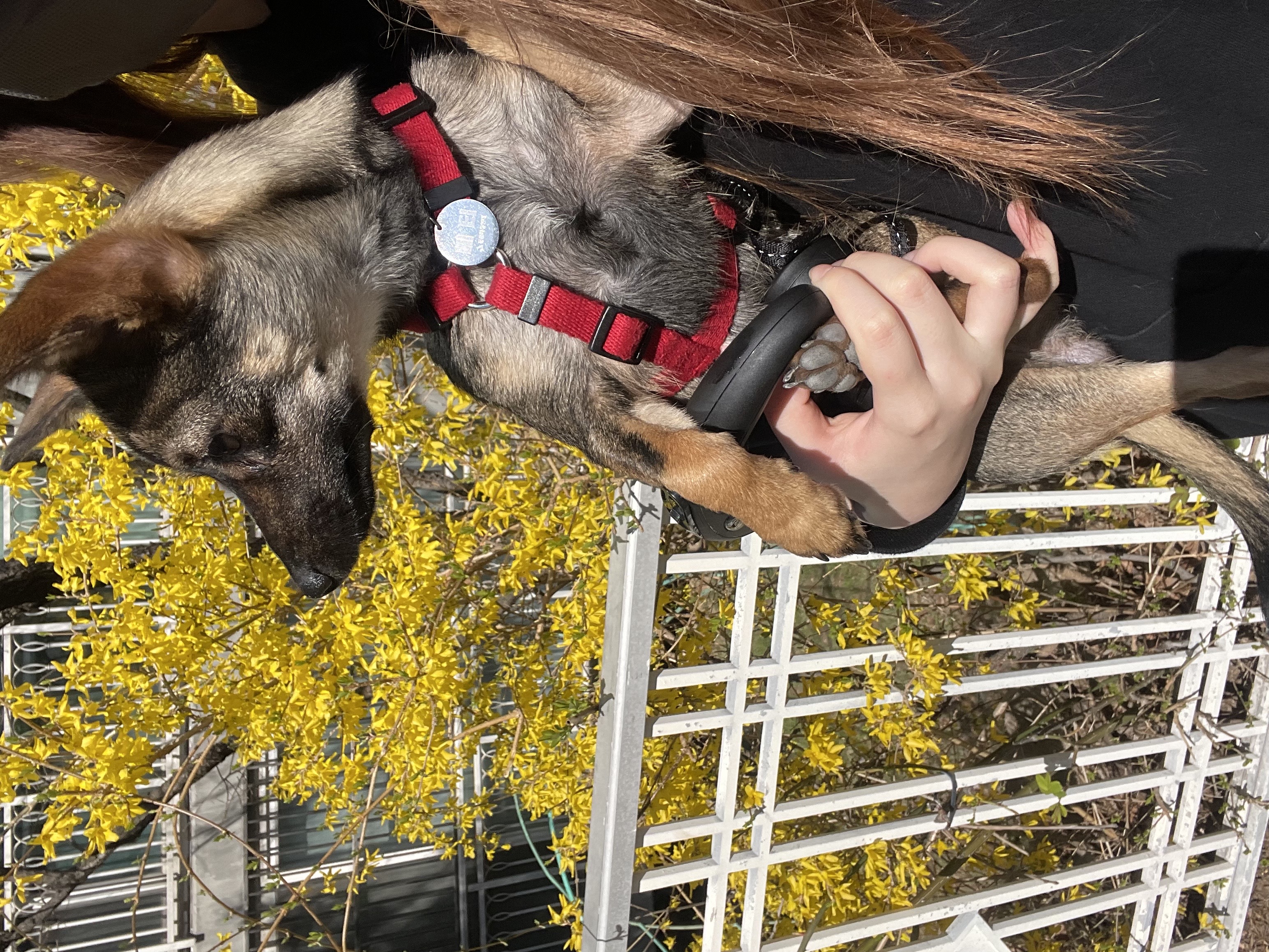 베러와의 세 달