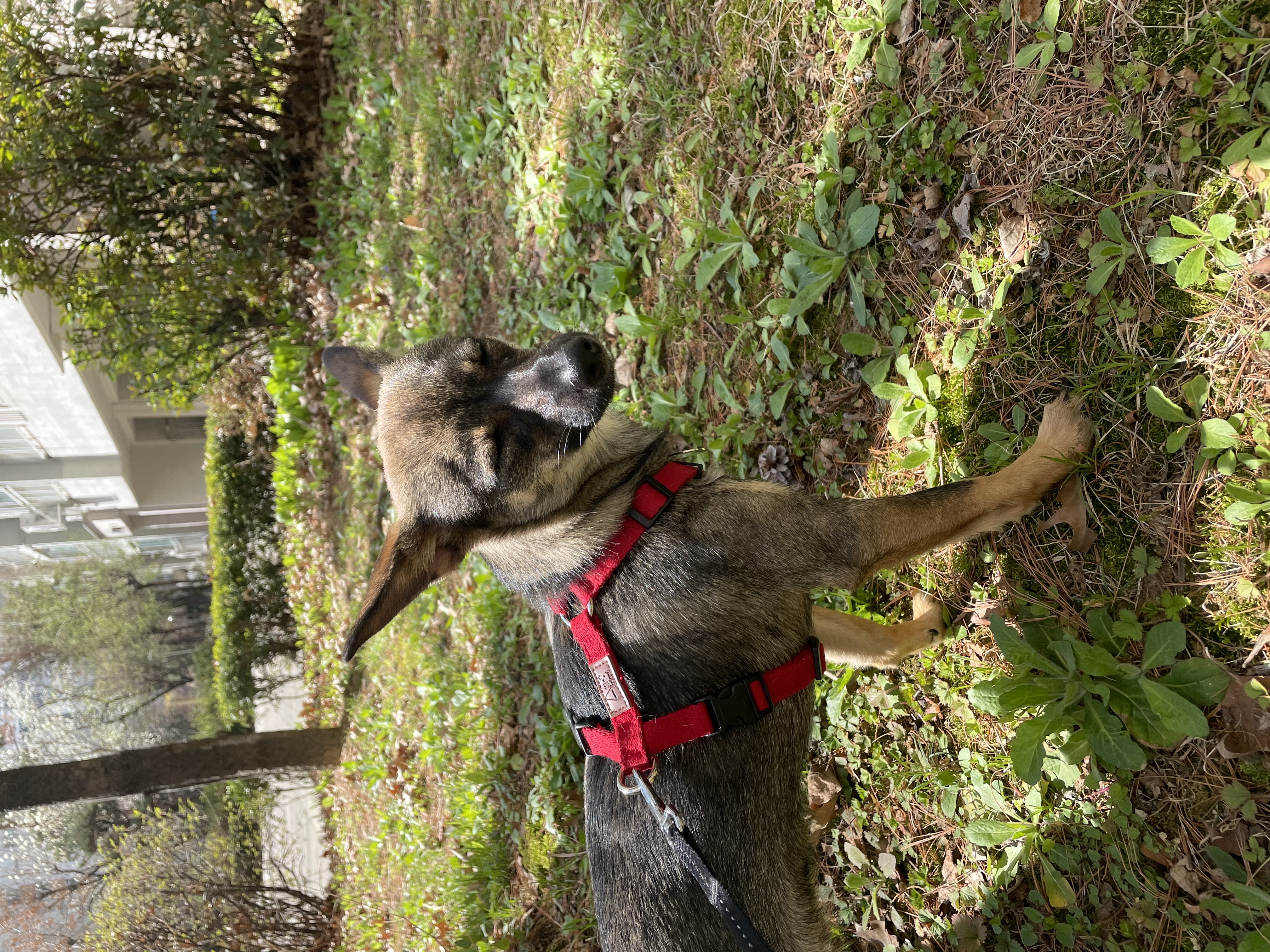 베러와의 세 달