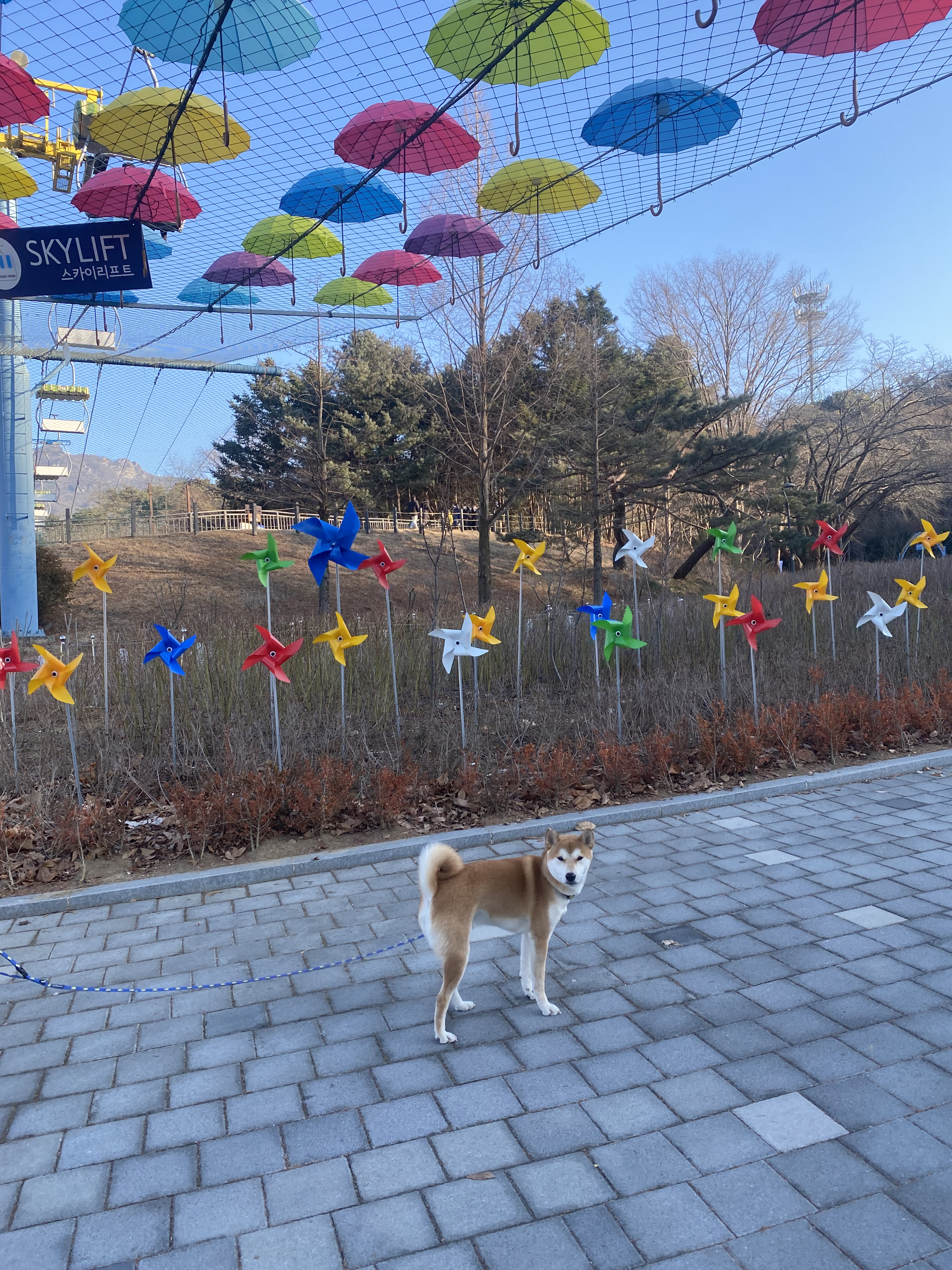곤지암 두시 로꼬 1년 후기