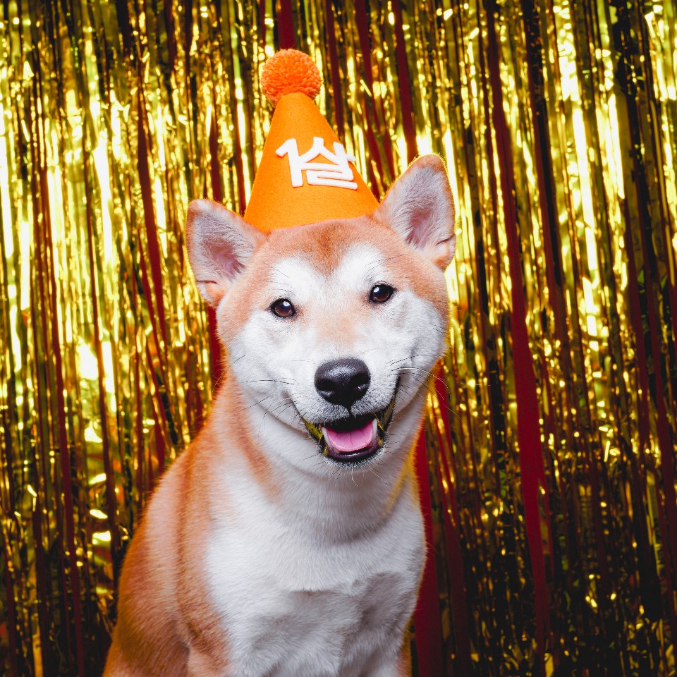 곤지암 두시 로꼬 1년 후기