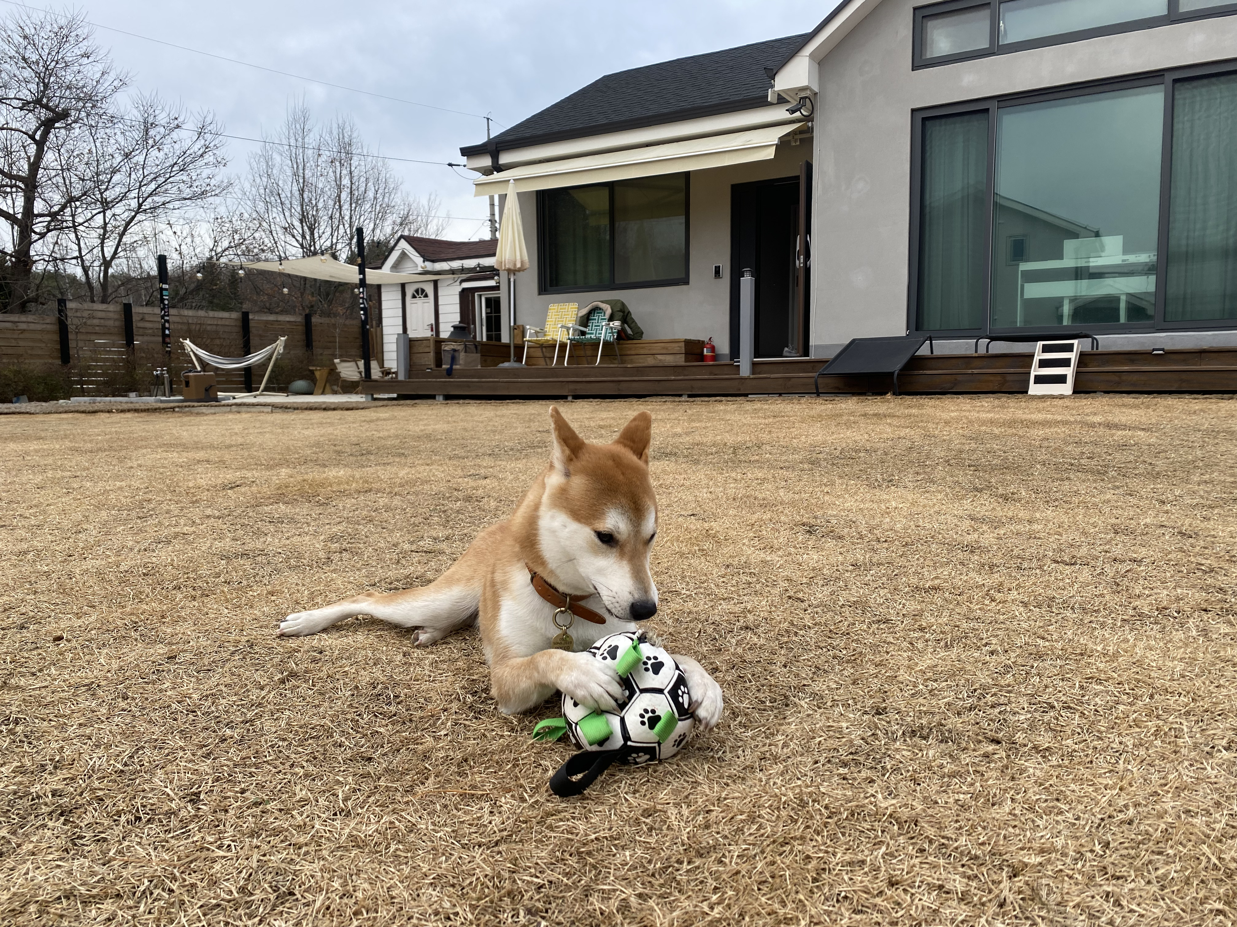 곤지암 두시 로꼬 1년 후기