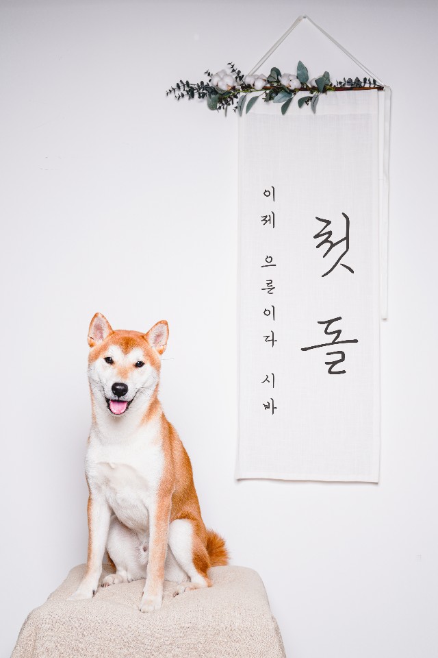 곤지암 두시 로꼬 1년 후기