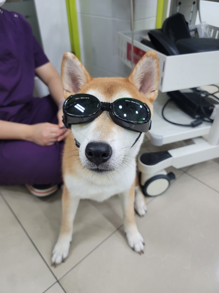 곤지암 두시 로꼬 1년 후기