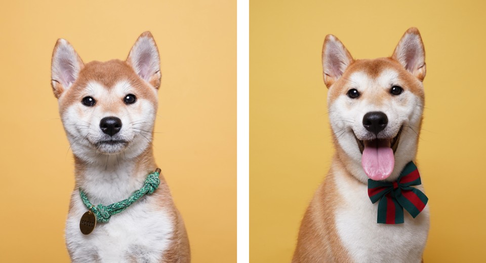 곤지암 두시 로꼬 1년 후기