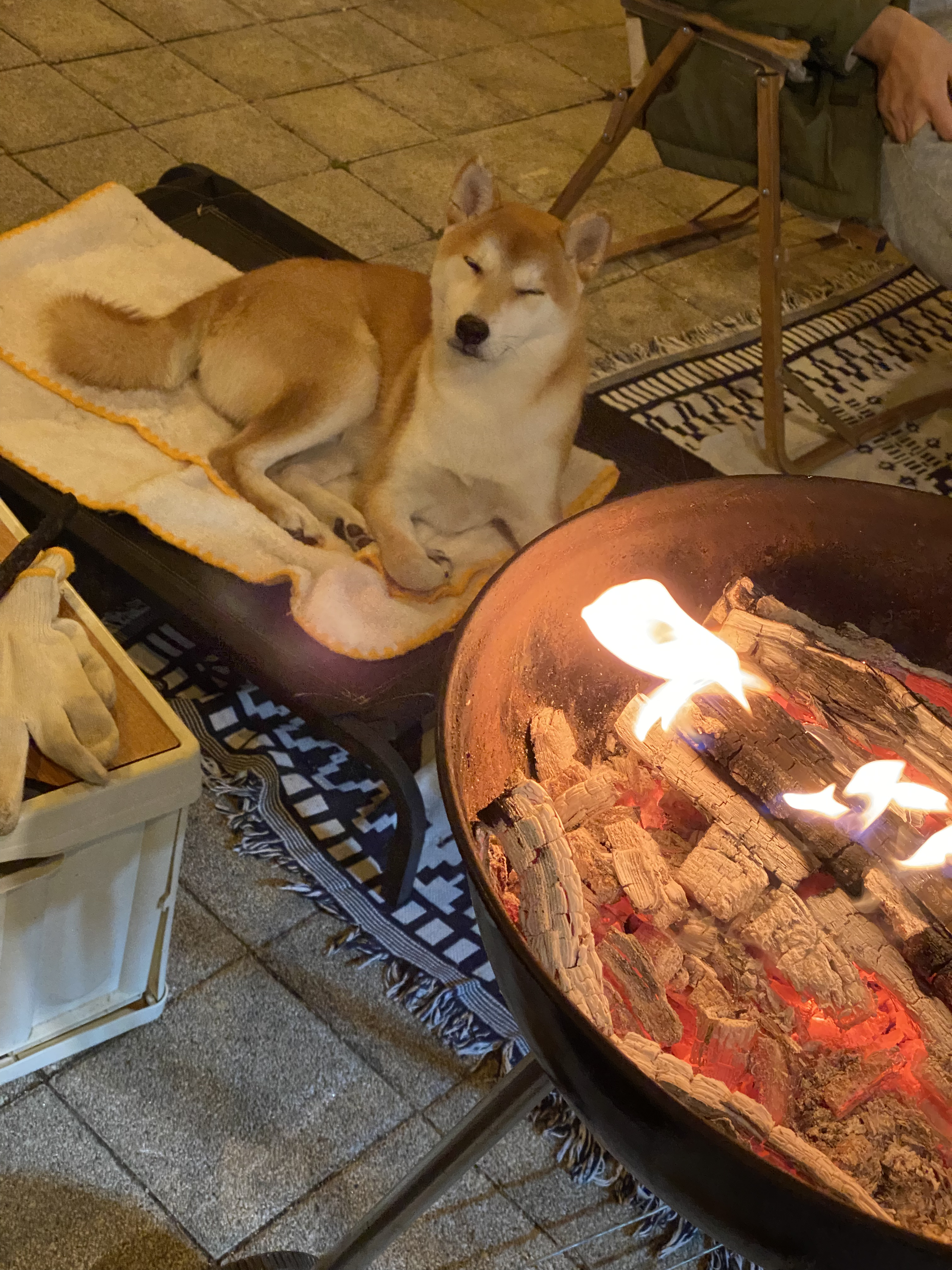 곤지암 두시 로꼬 1년 후기