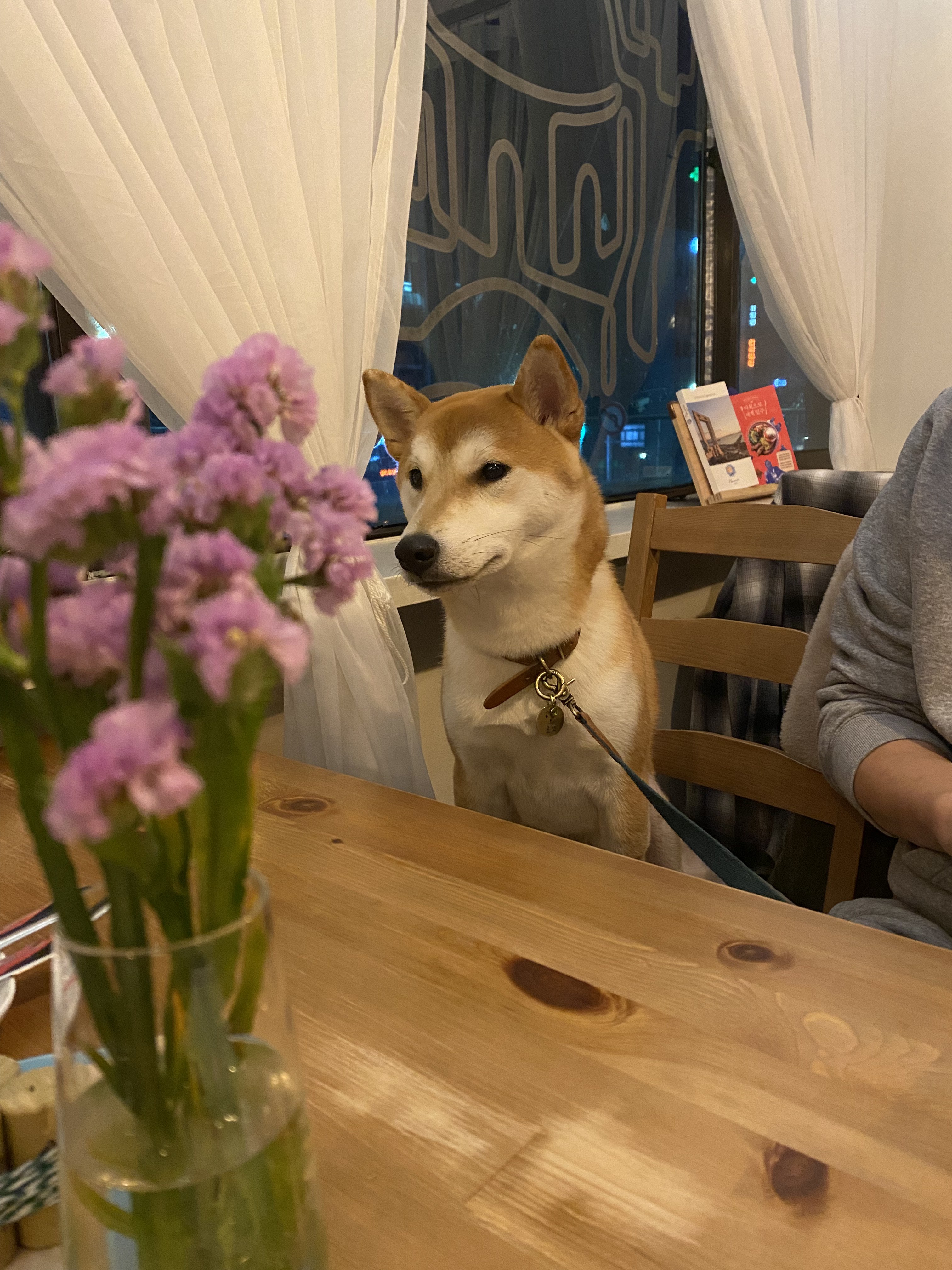 곤지암 두시 로꼬 1년 후기