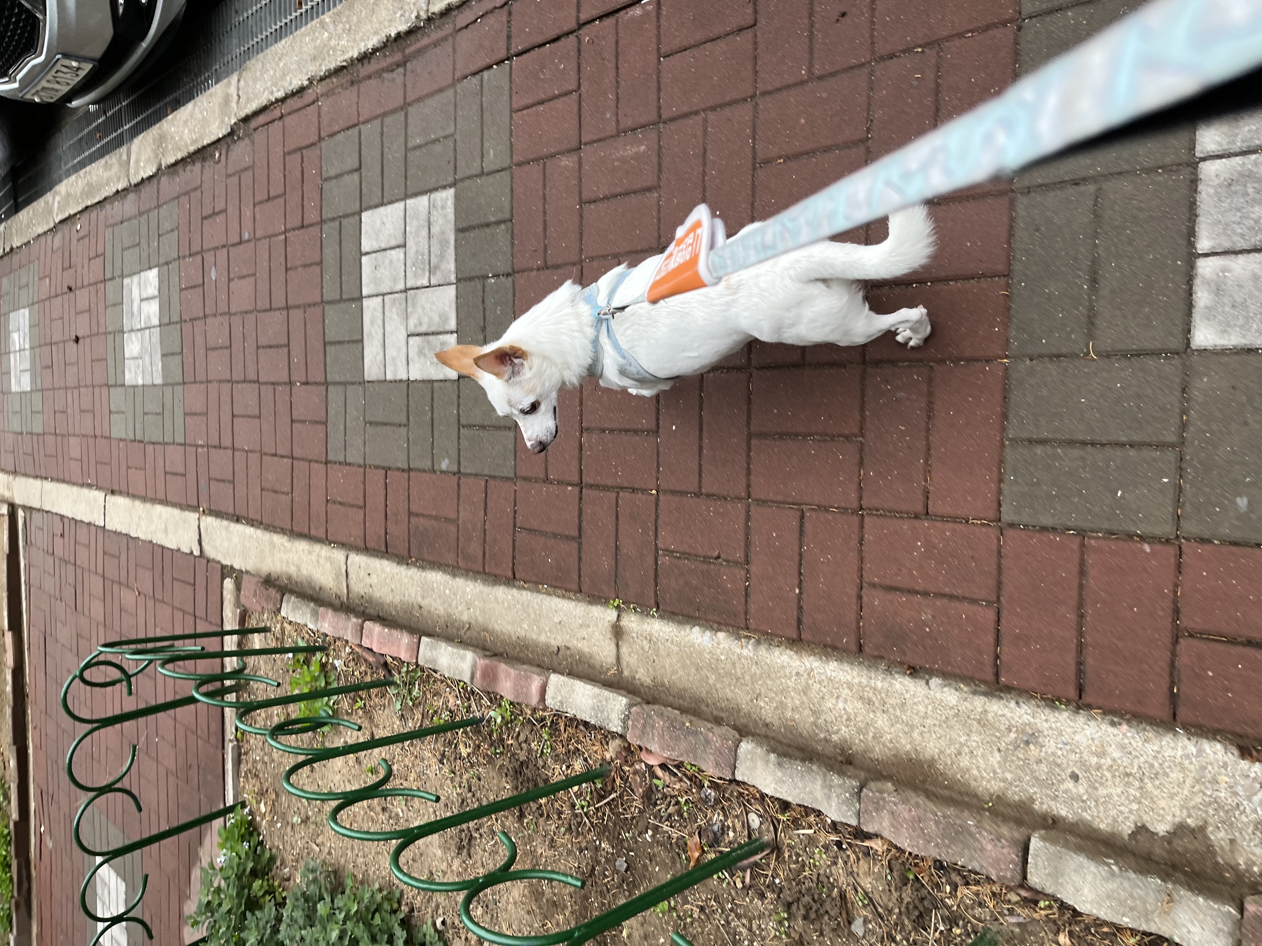 울동이 잘 지내요~