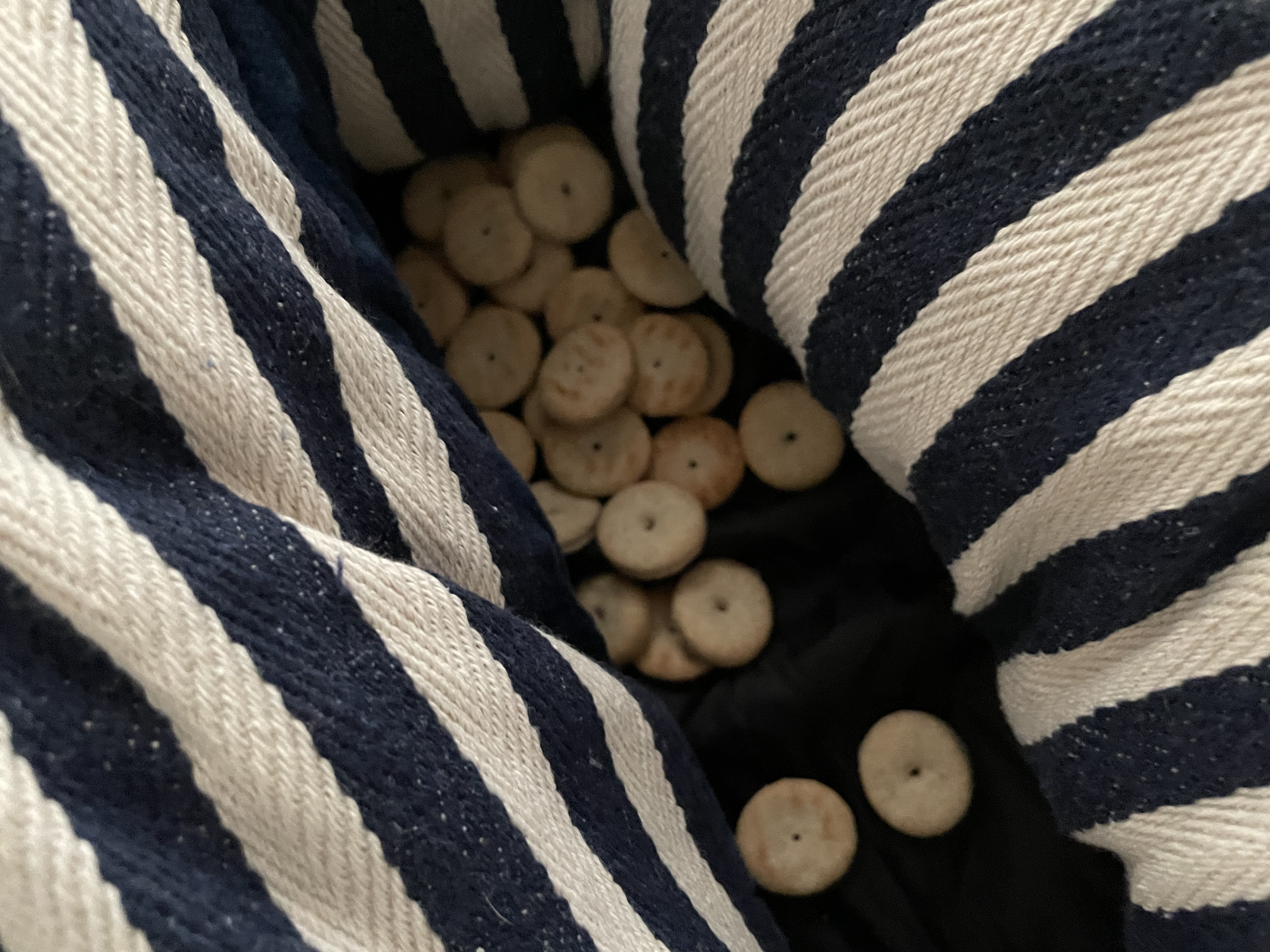 삐삐(밤이)가 일주일 되었어요