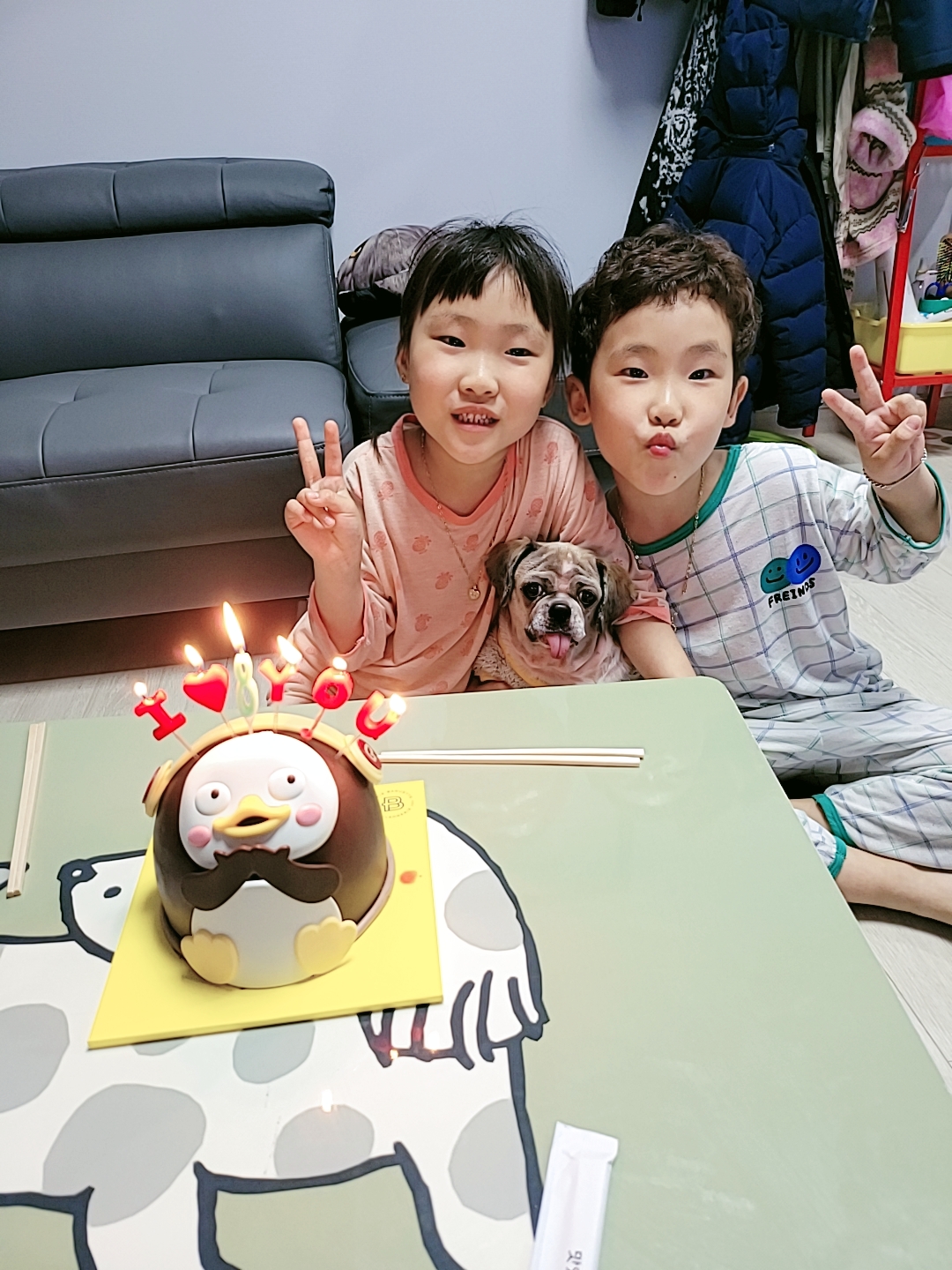 곤지암 시츄 원이 1년♡