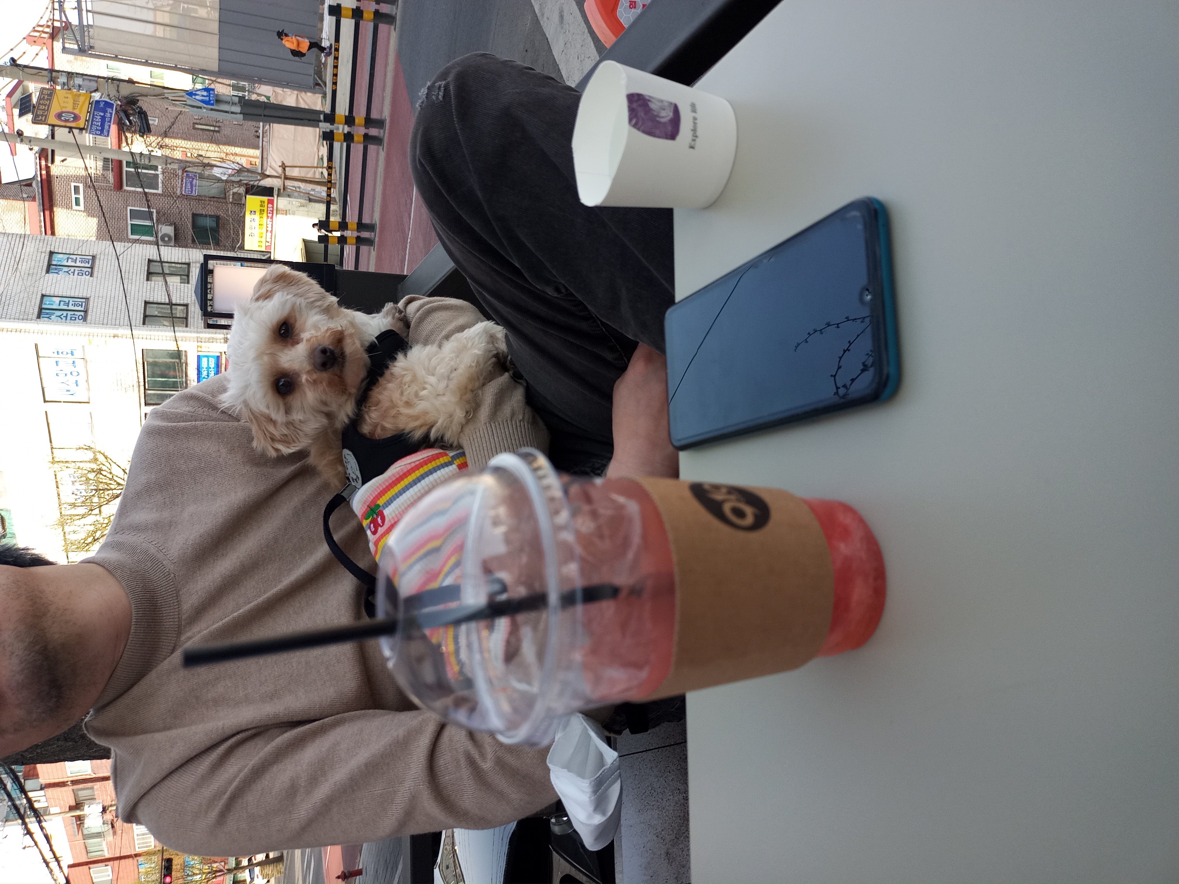 다온(비비)이 한달