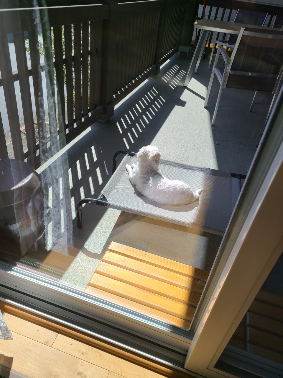 다니 (비단이) 근황