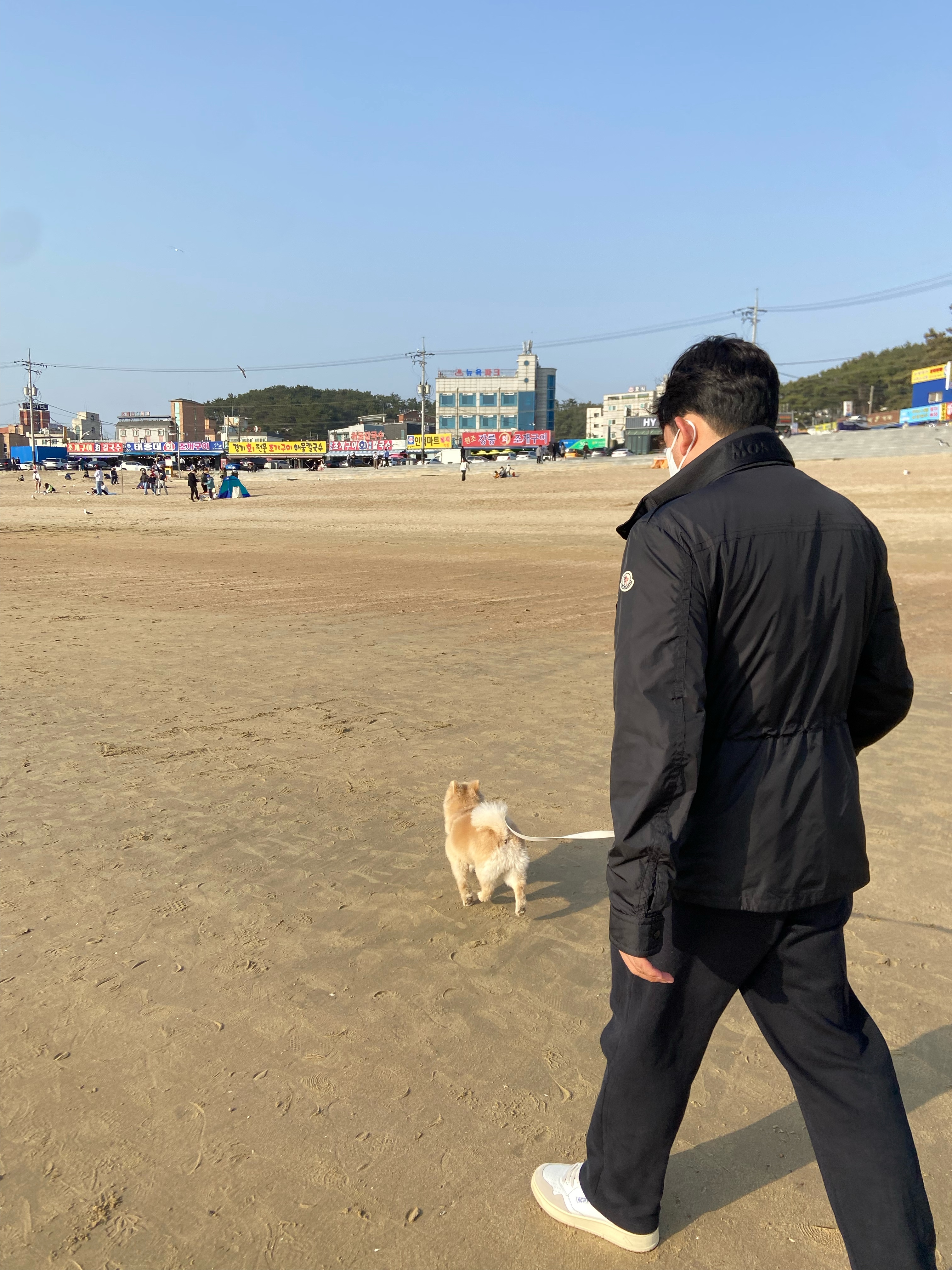 더덕이 (입양 전 롤푸) 입양 후 90일