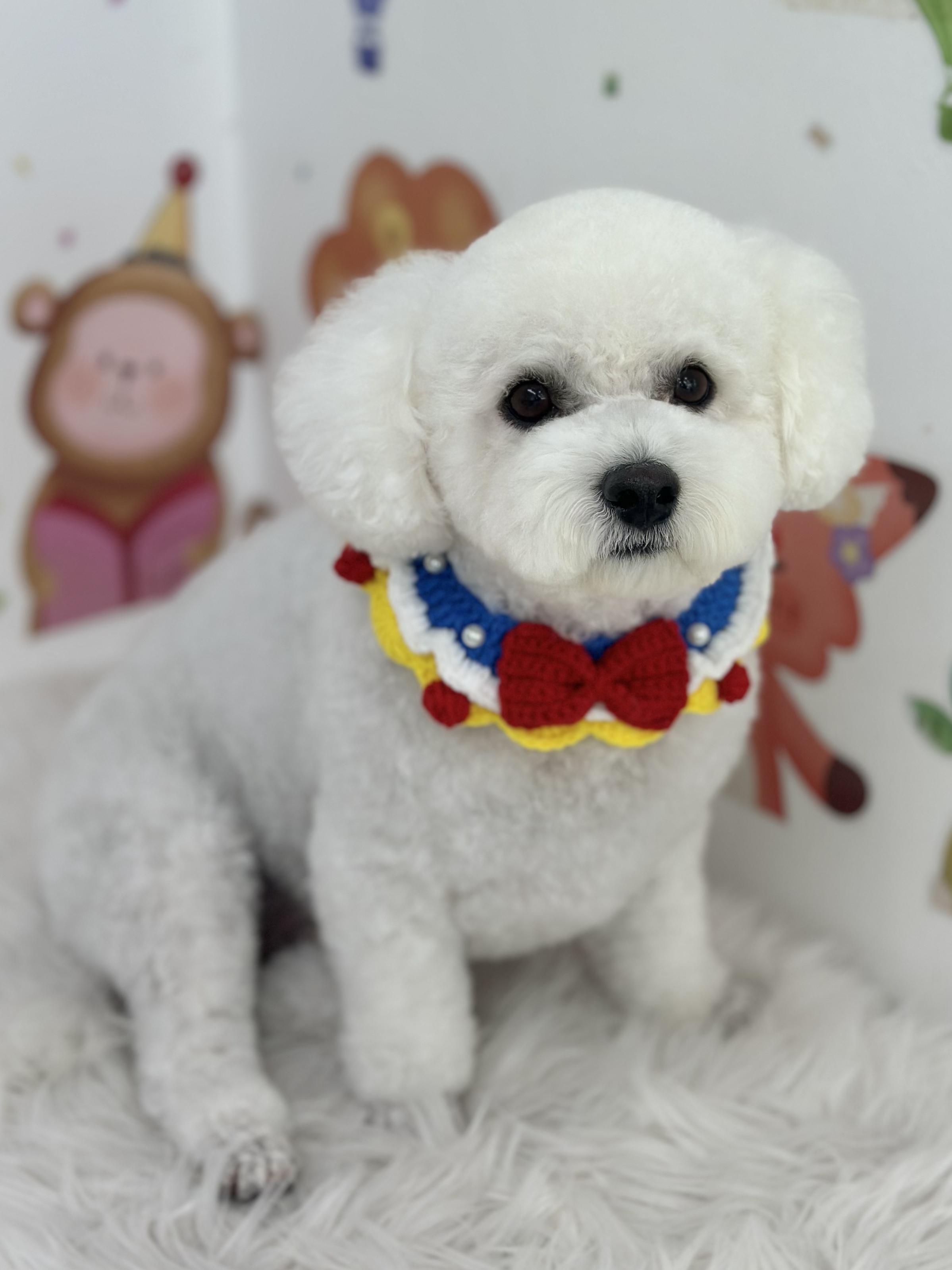 샤넬(구 아자)볼보(구 양삼)