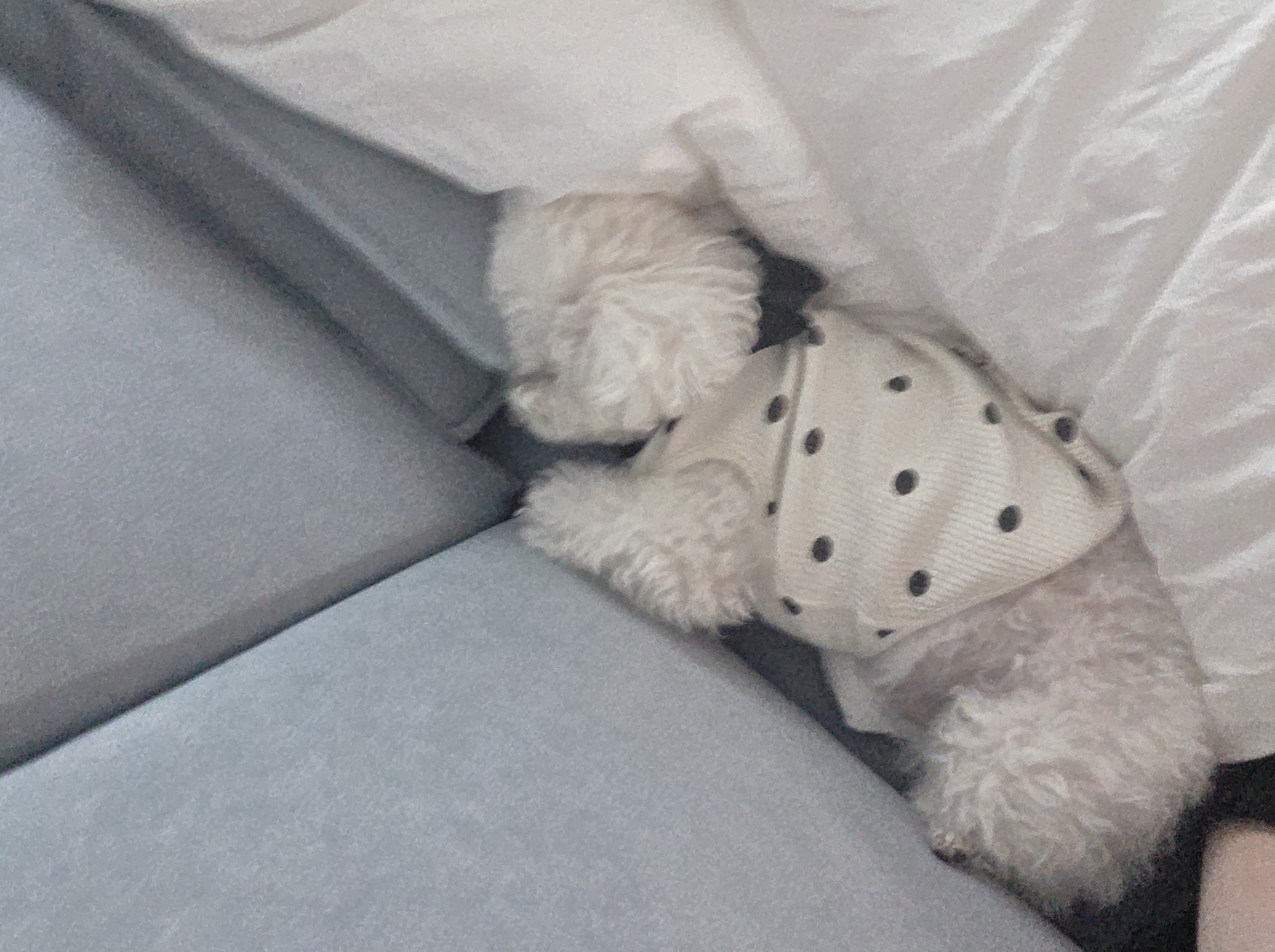 열무(구 아솜이)의 2년 3개월차 이야기