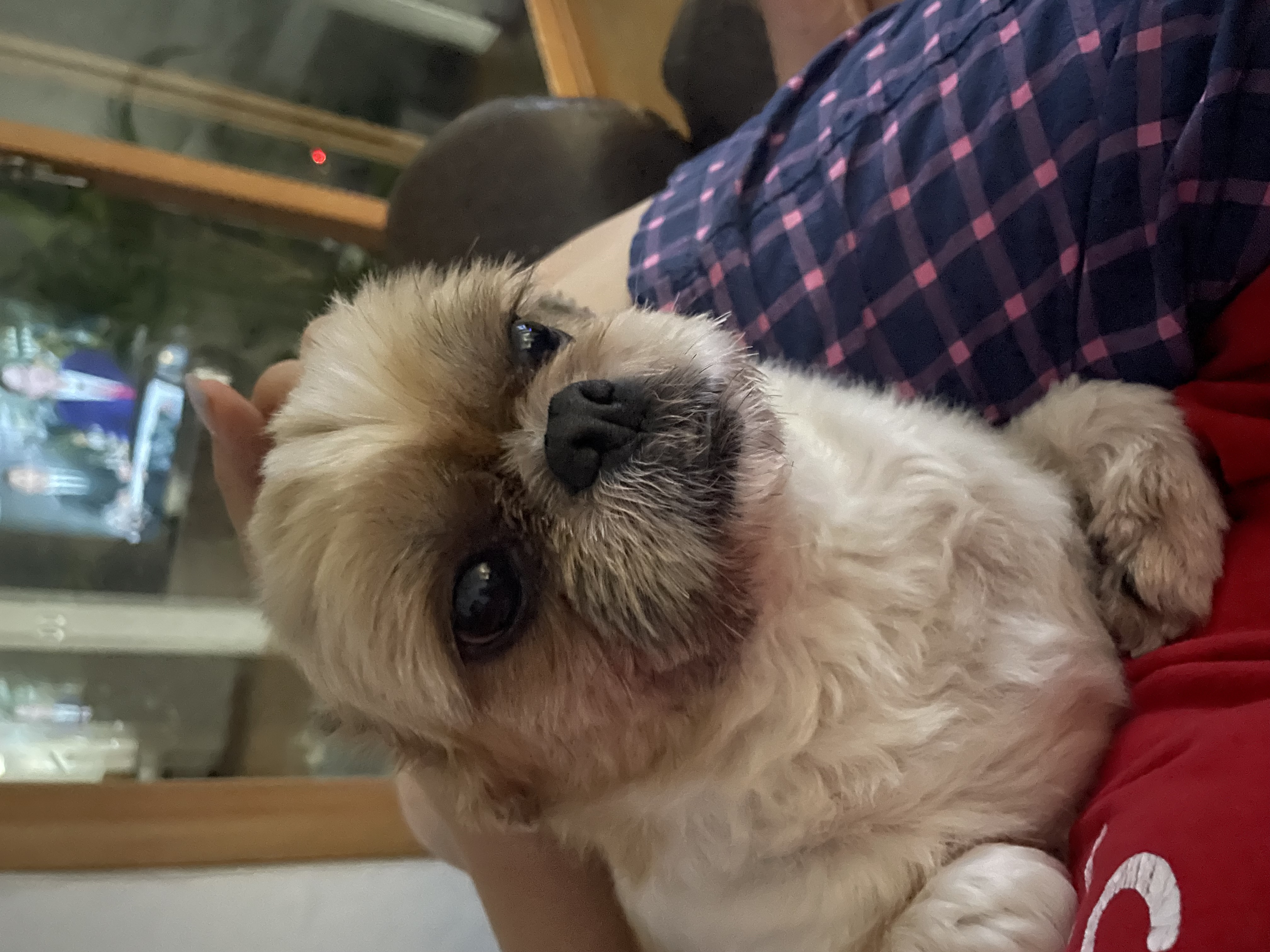 탱자탱구 5년차 후기