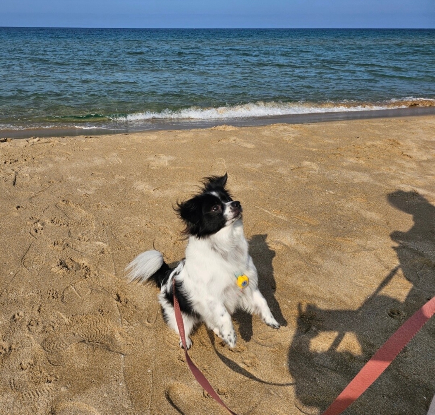 자이와 함께한 4년