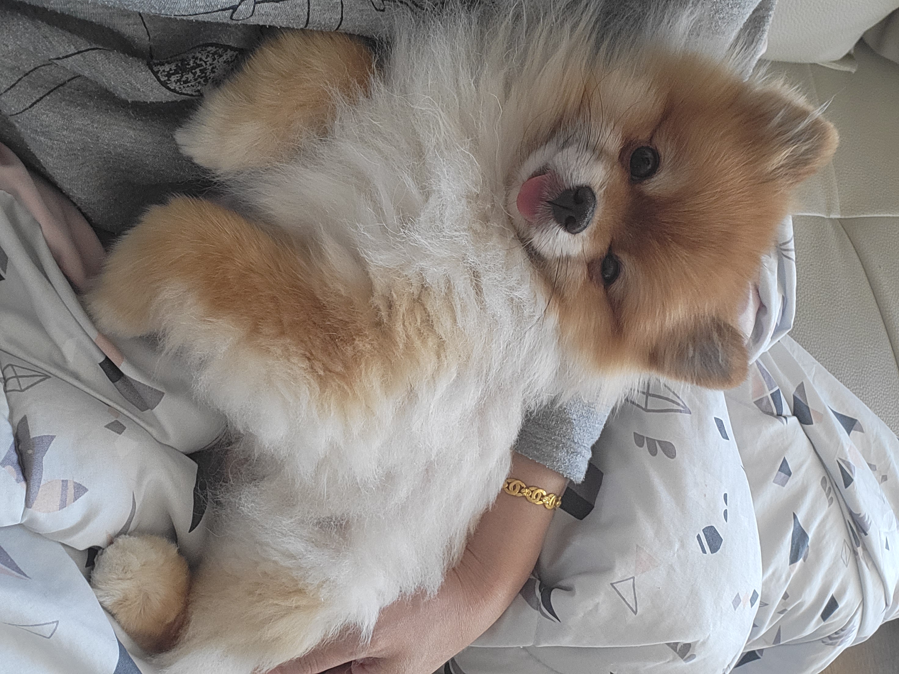 제티랑 1년