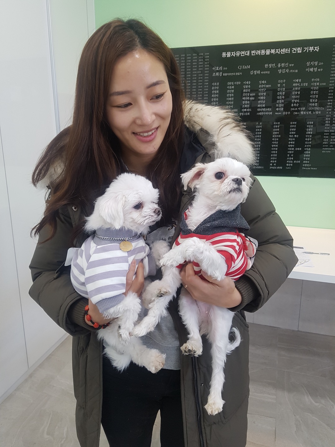 구름이(시흥번식장 화재 구조견) 5년차 입양후기
