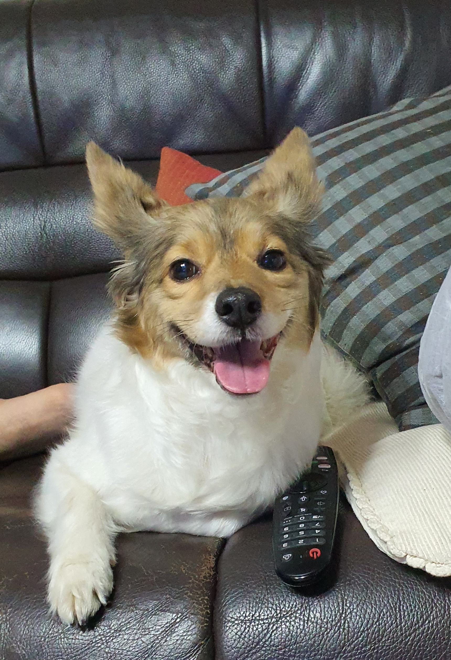 오랜만에 미소 소식 전합니다^^