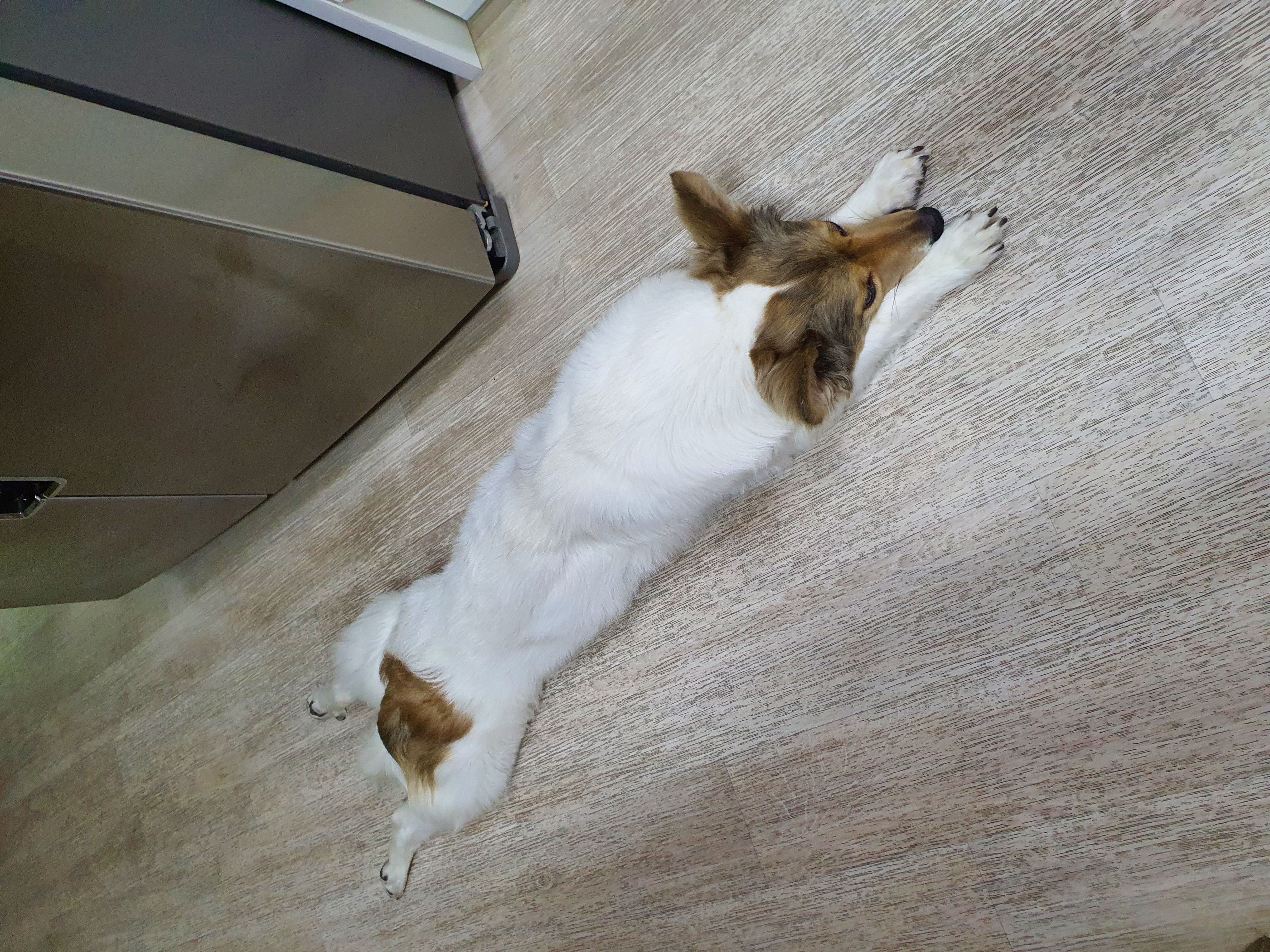 오랜만에 미소 소식 전합니다^^