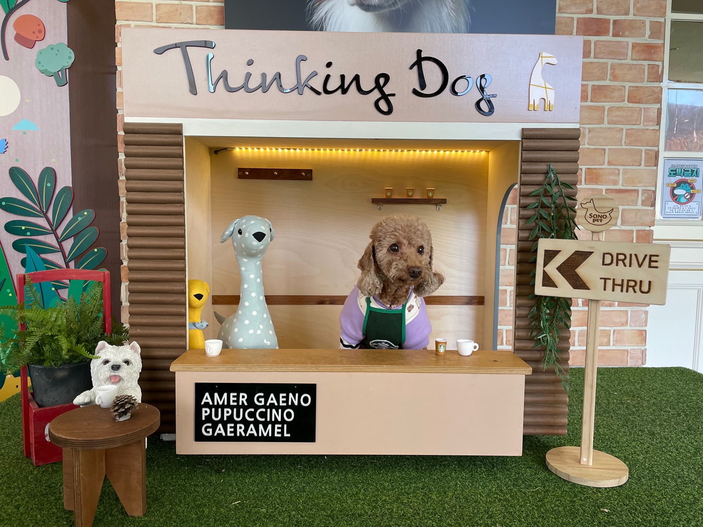 헤이즐 입양 1년 이야기 (곤지암 구조견)