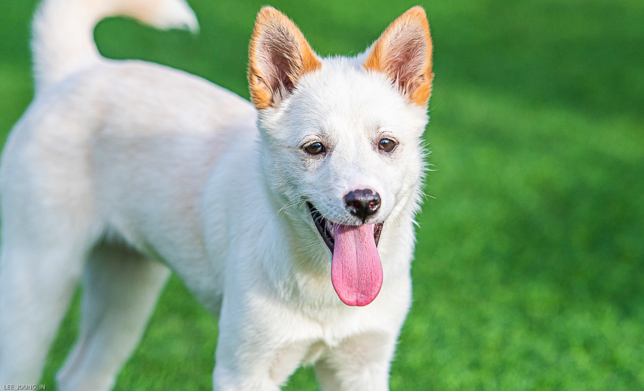 ‘보리’가 온지 3주째를 접어들며..