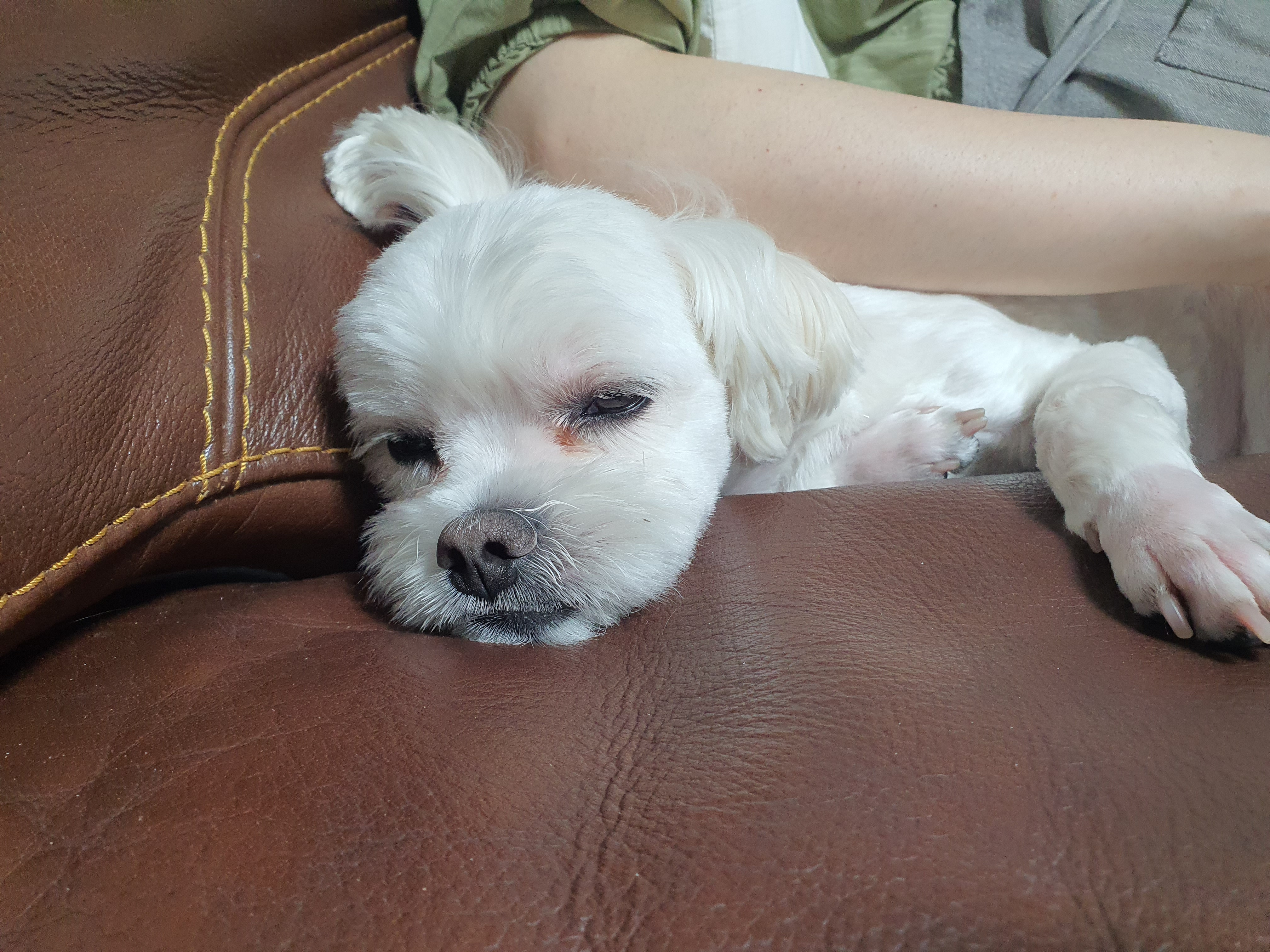 오랜만의 [젤리] 근황입니다