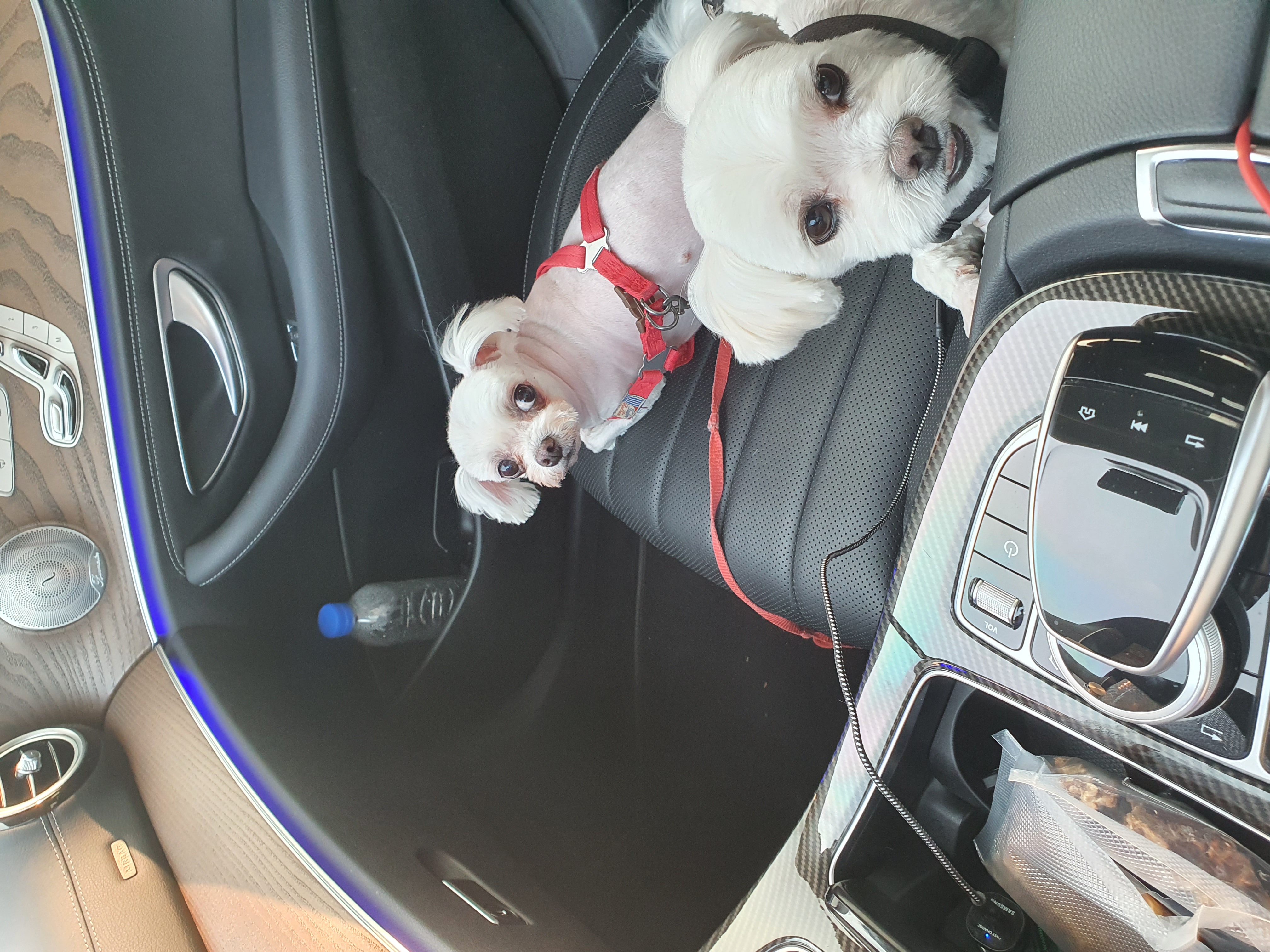 오랜만의 [젤리] 근황입니다