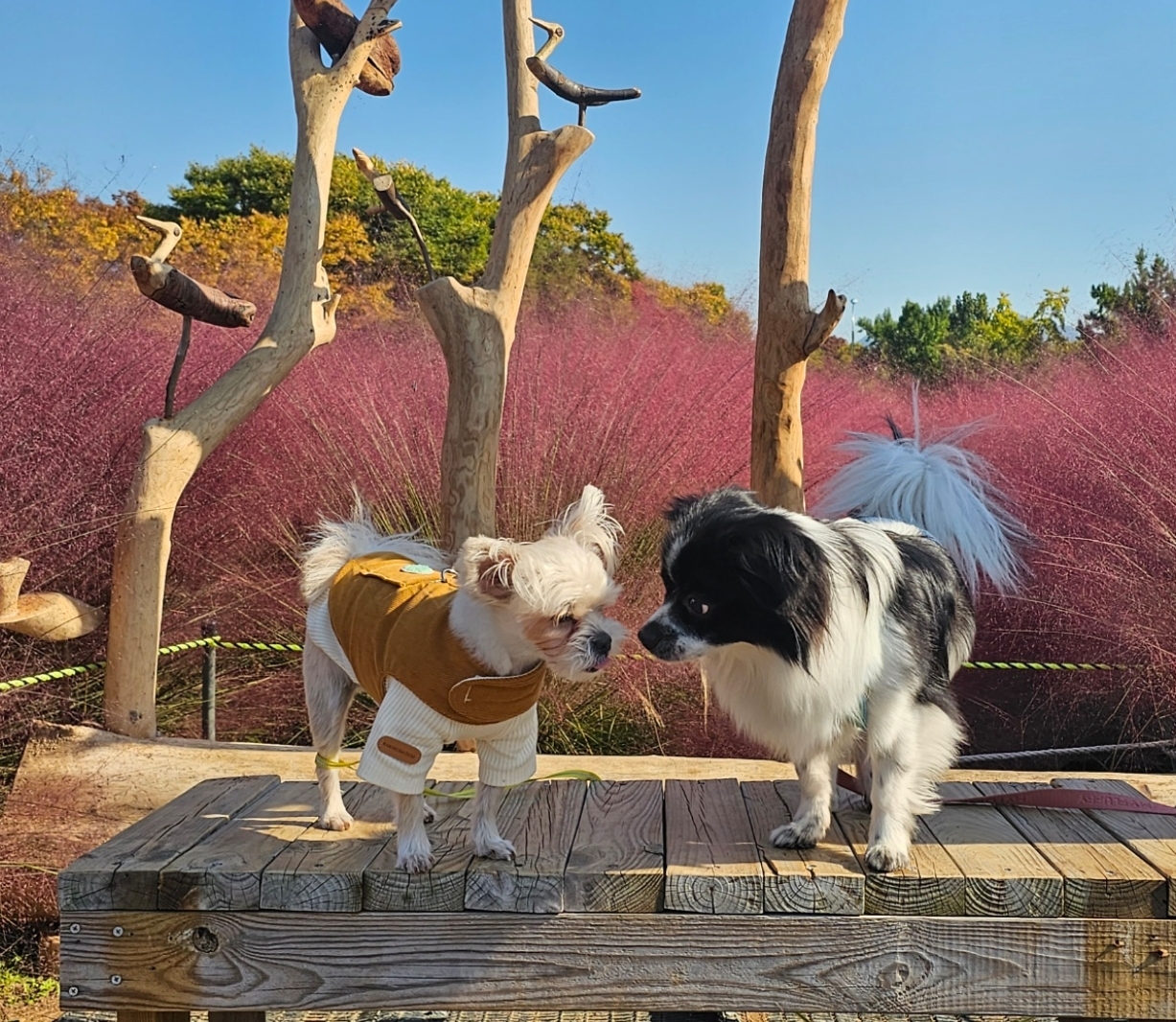 자이와 함께한 4년