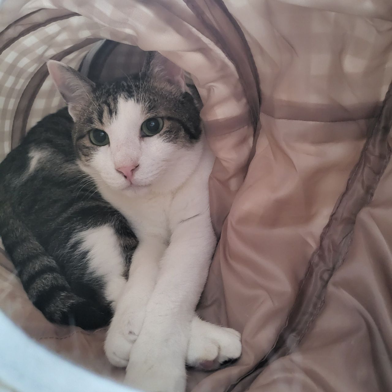 아띠와 1년이 !!!!엄청 빨리 지나갔어요~!!!