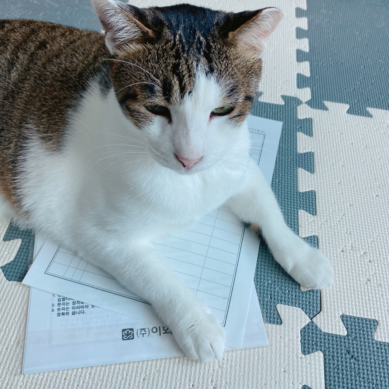 아띠와 1년이 !!!!엄청 빨리 지나갔어요~!!!