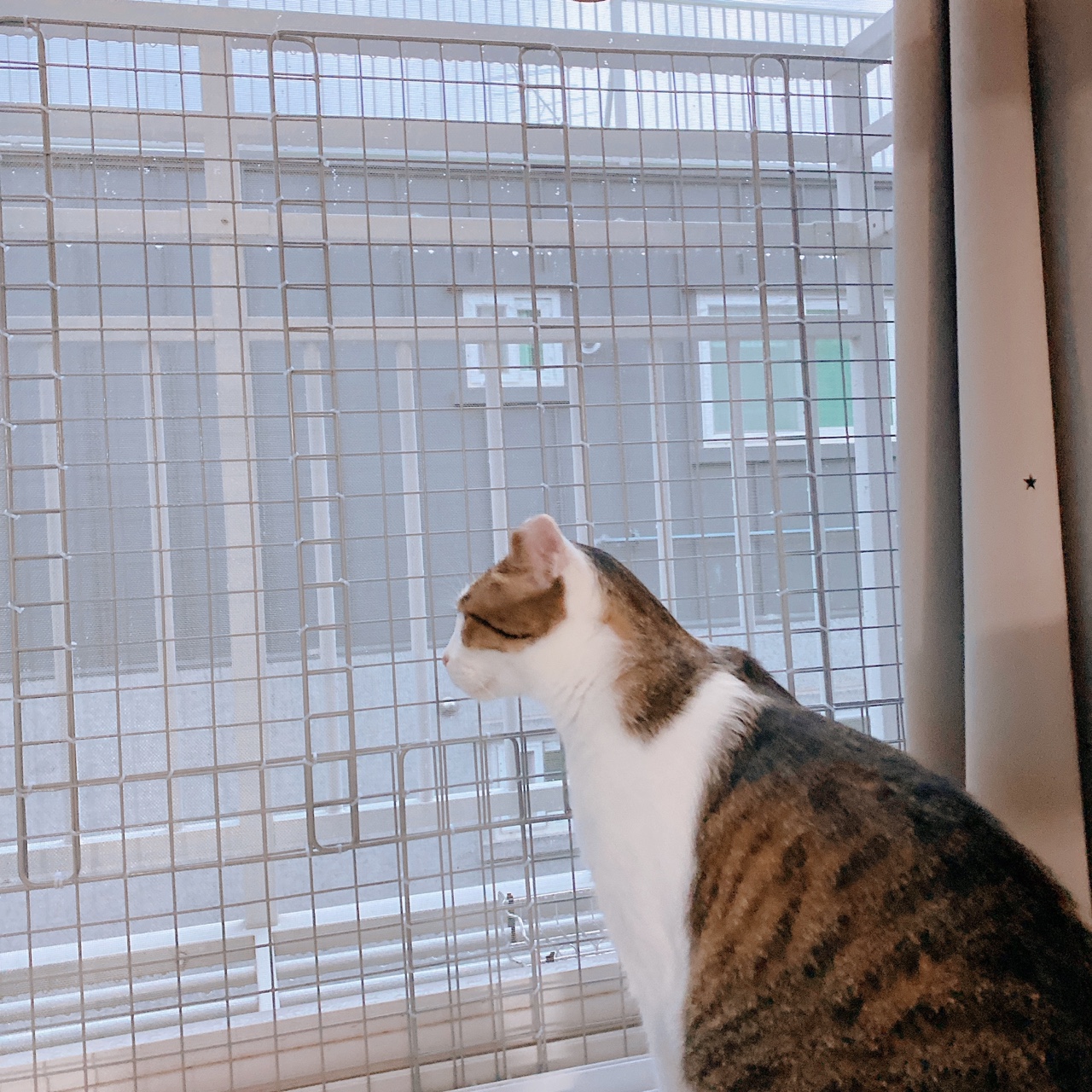 아띠와 1년이 !!!!엄청 빨리 지나갔어요~!!!