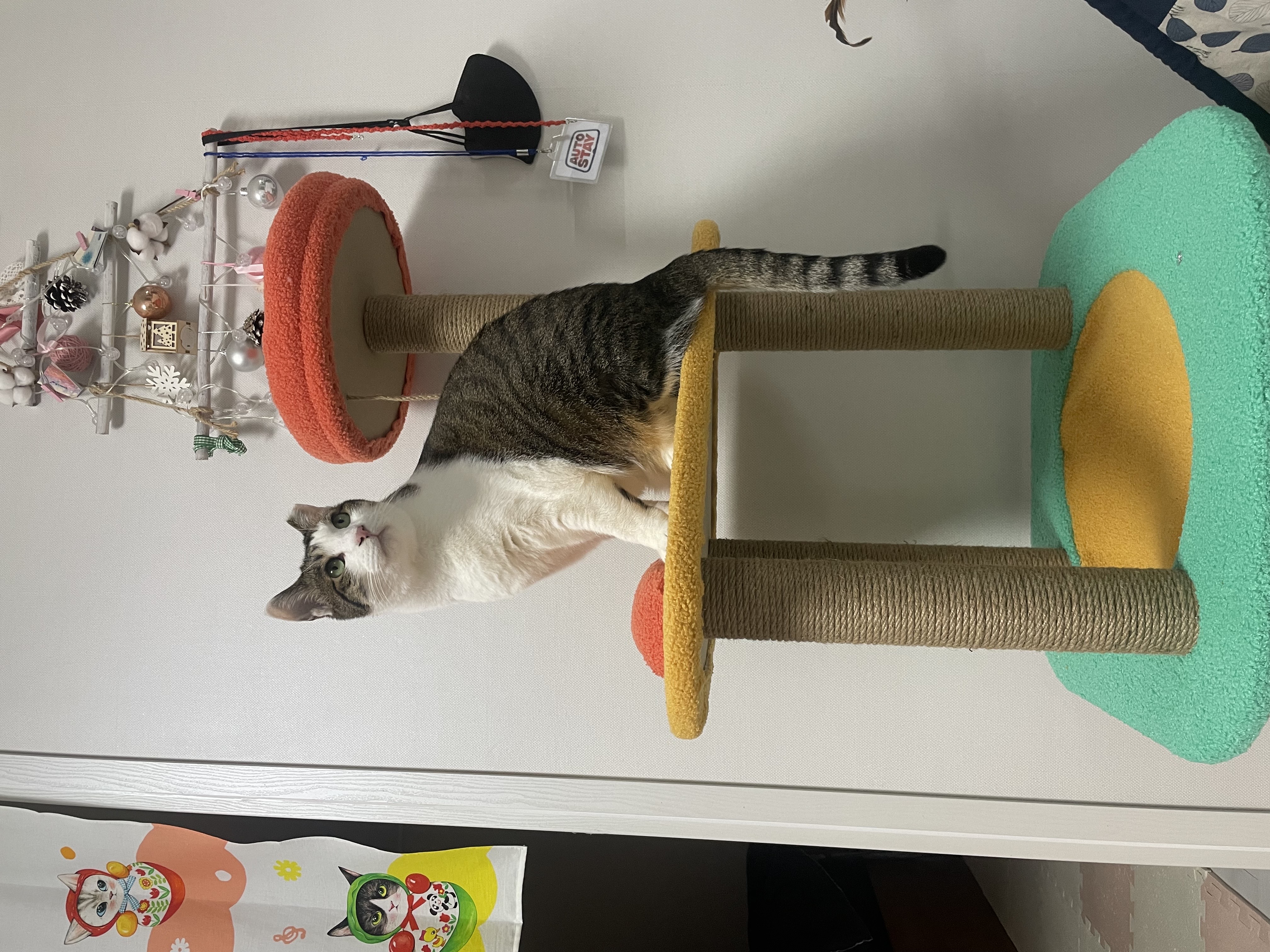 아띠와 1년이 !!!!엄청 빨리 지나갔어요~!!!