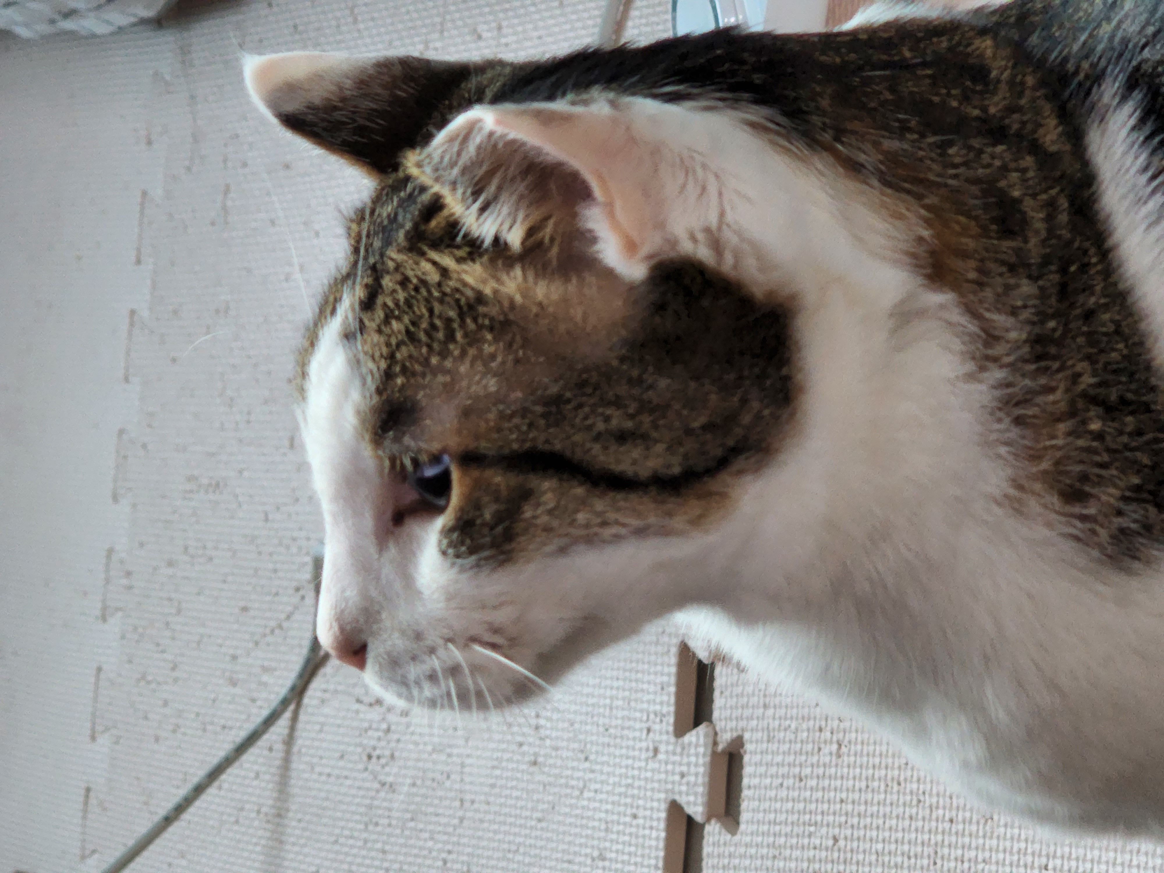 아띠와 1년이 !!!!엄청 빨리 지나갔어요~!!!