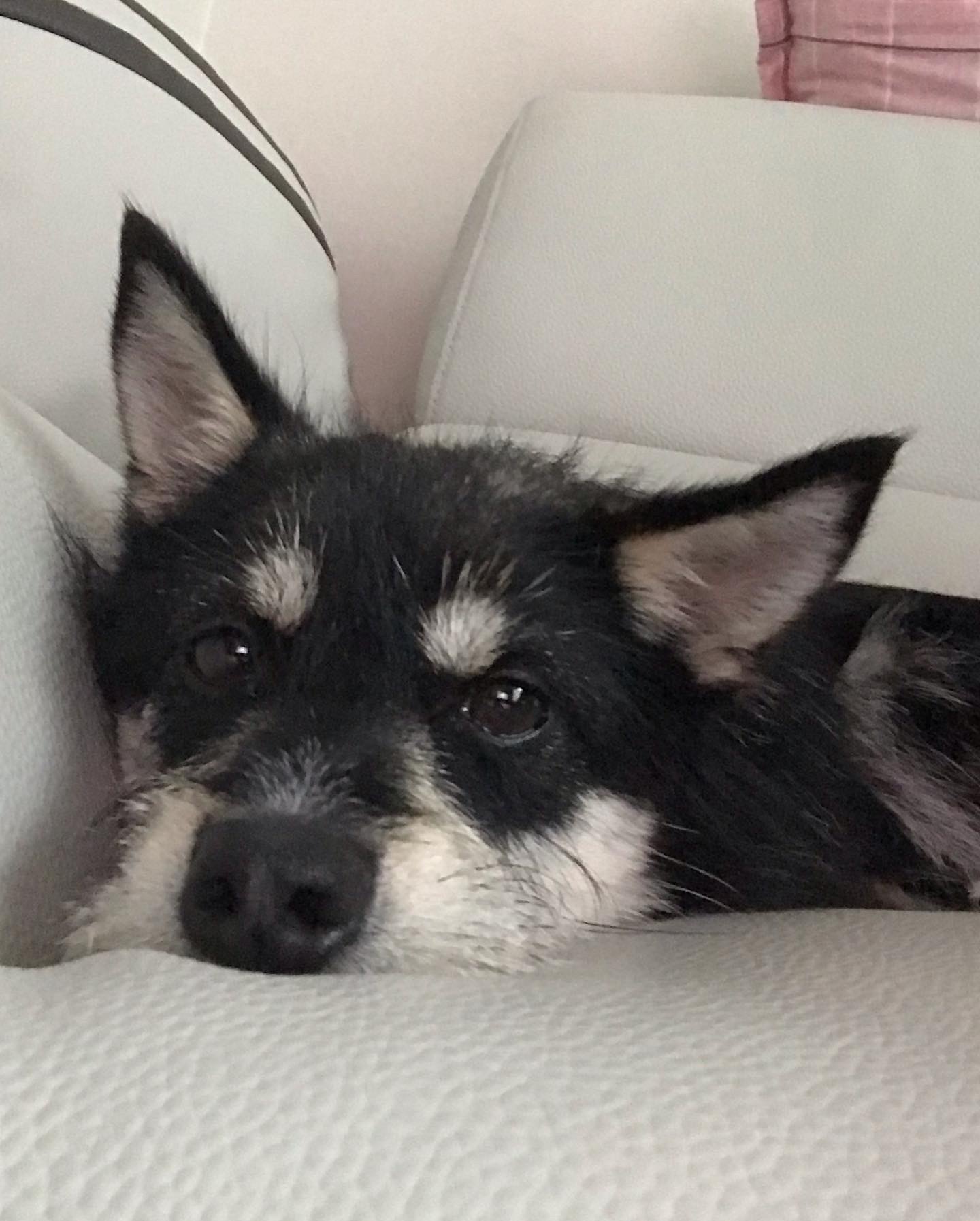 두송이 소식 전합니다!