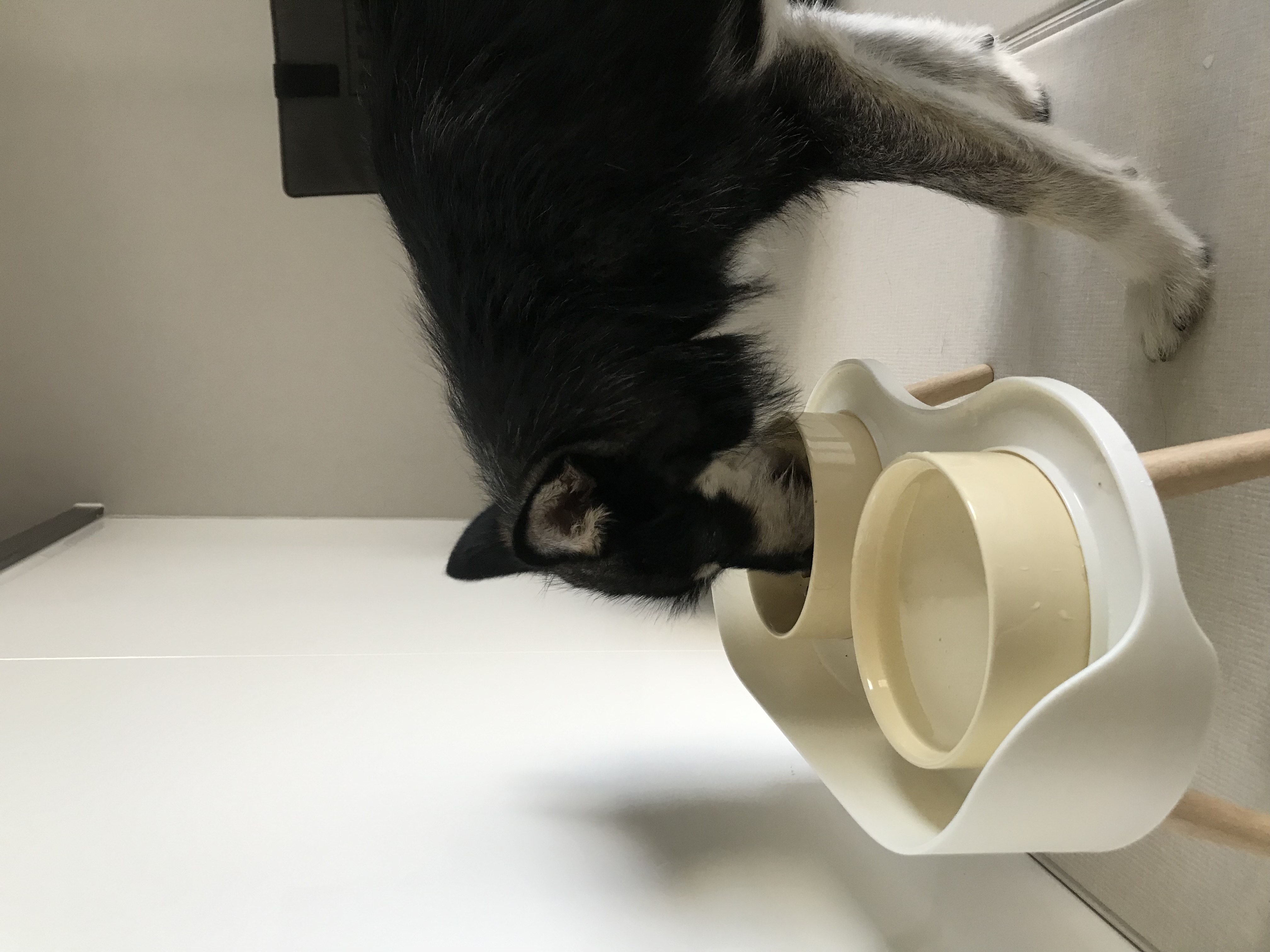 두송이 소식 전합니다!