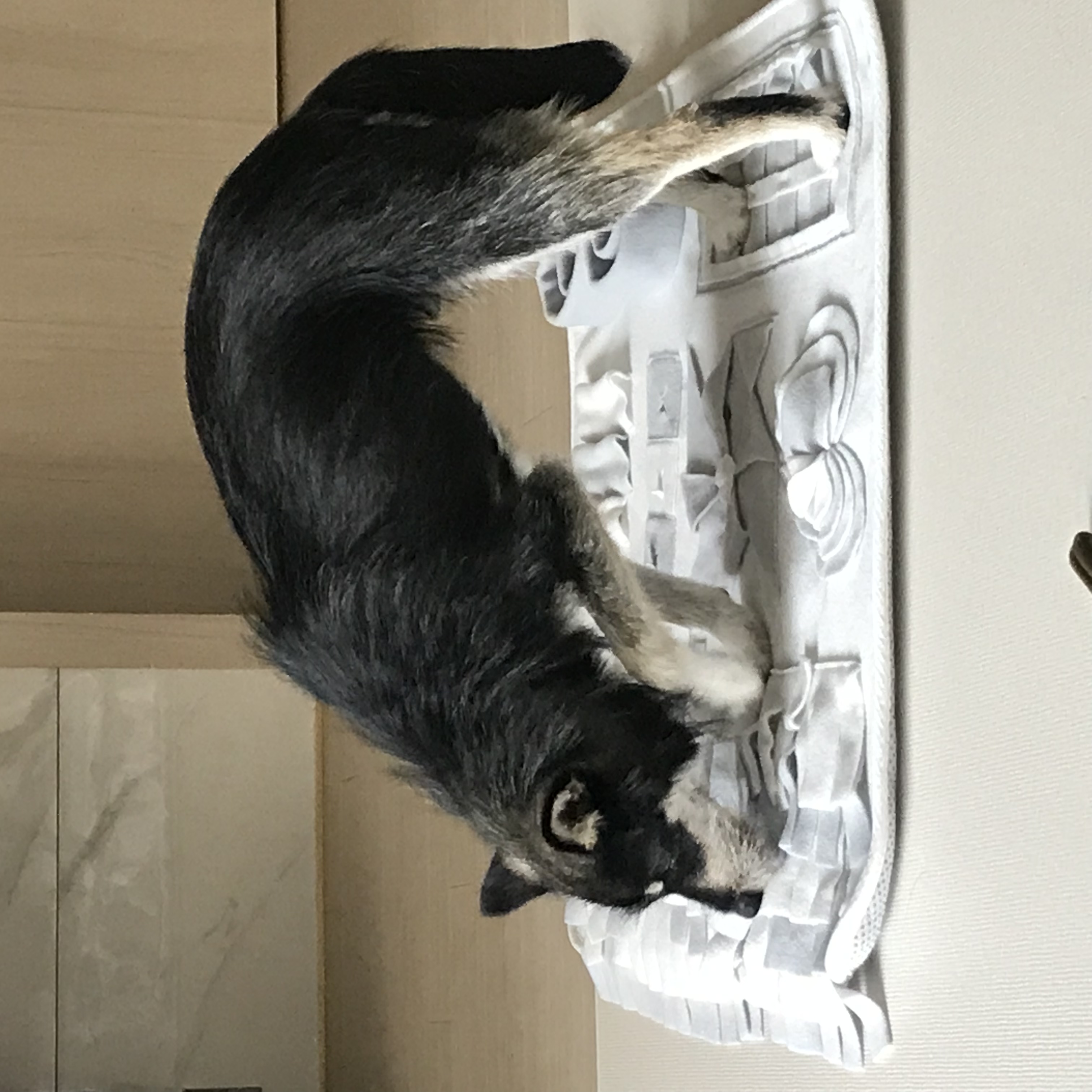 두송이 소식 전합니다!