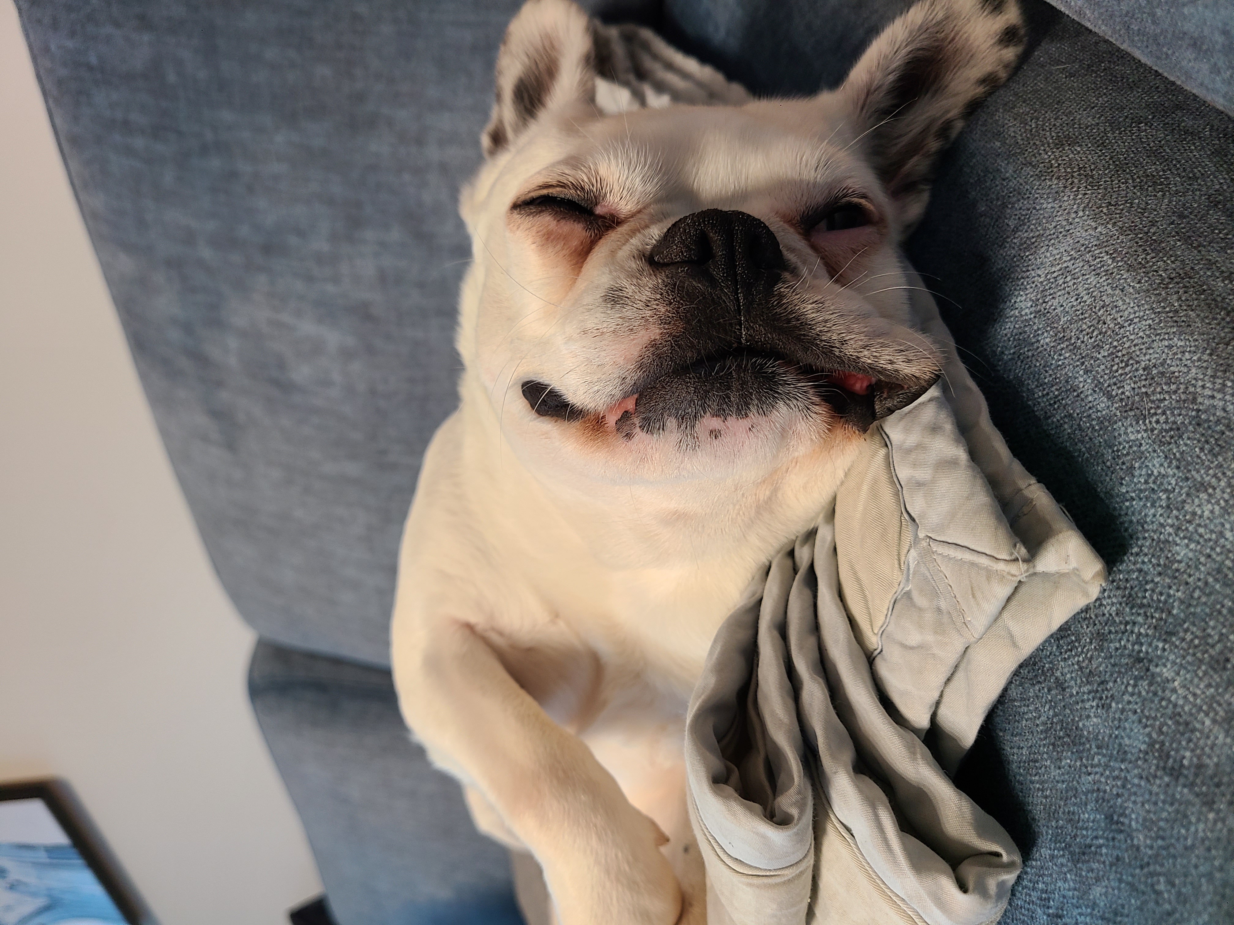 애둥이 온지 3개월^^