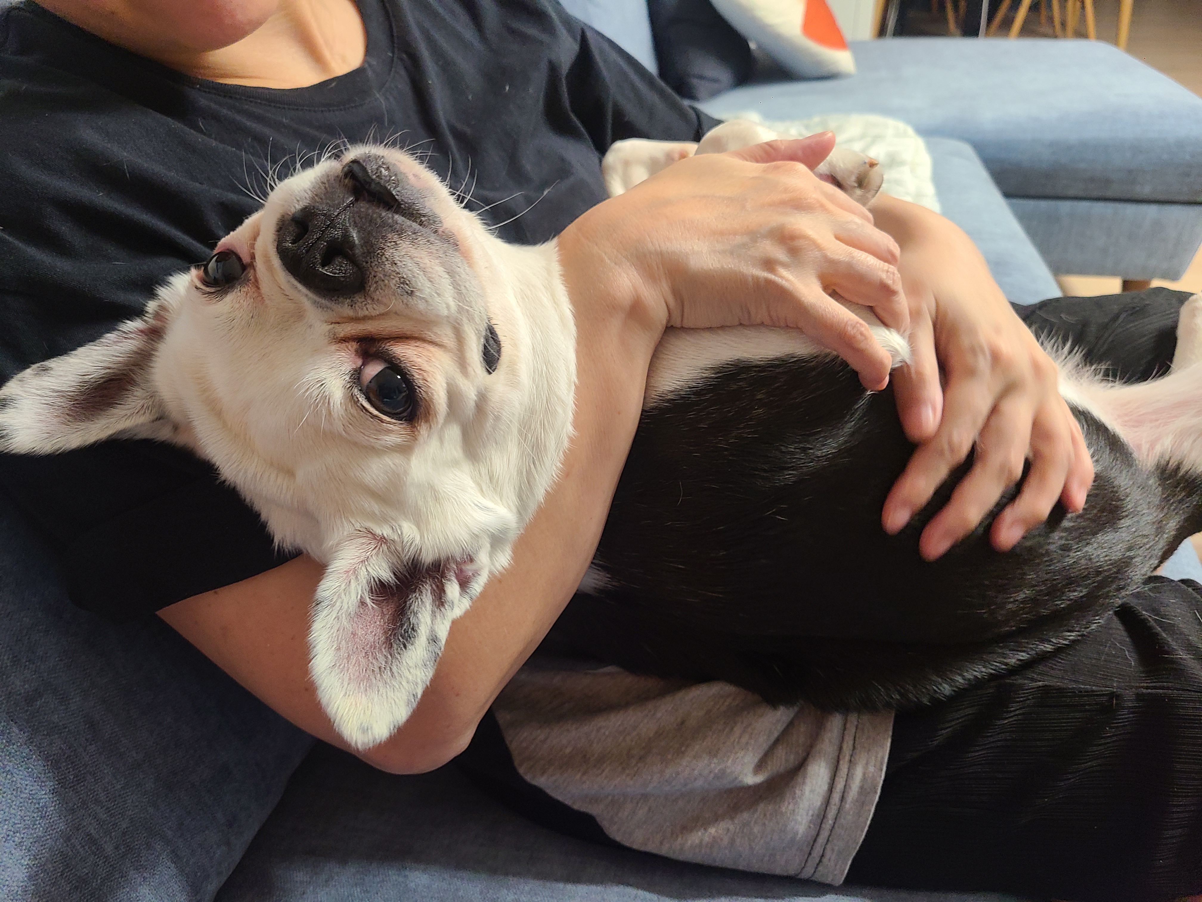 애둥이 온지 3개월^^