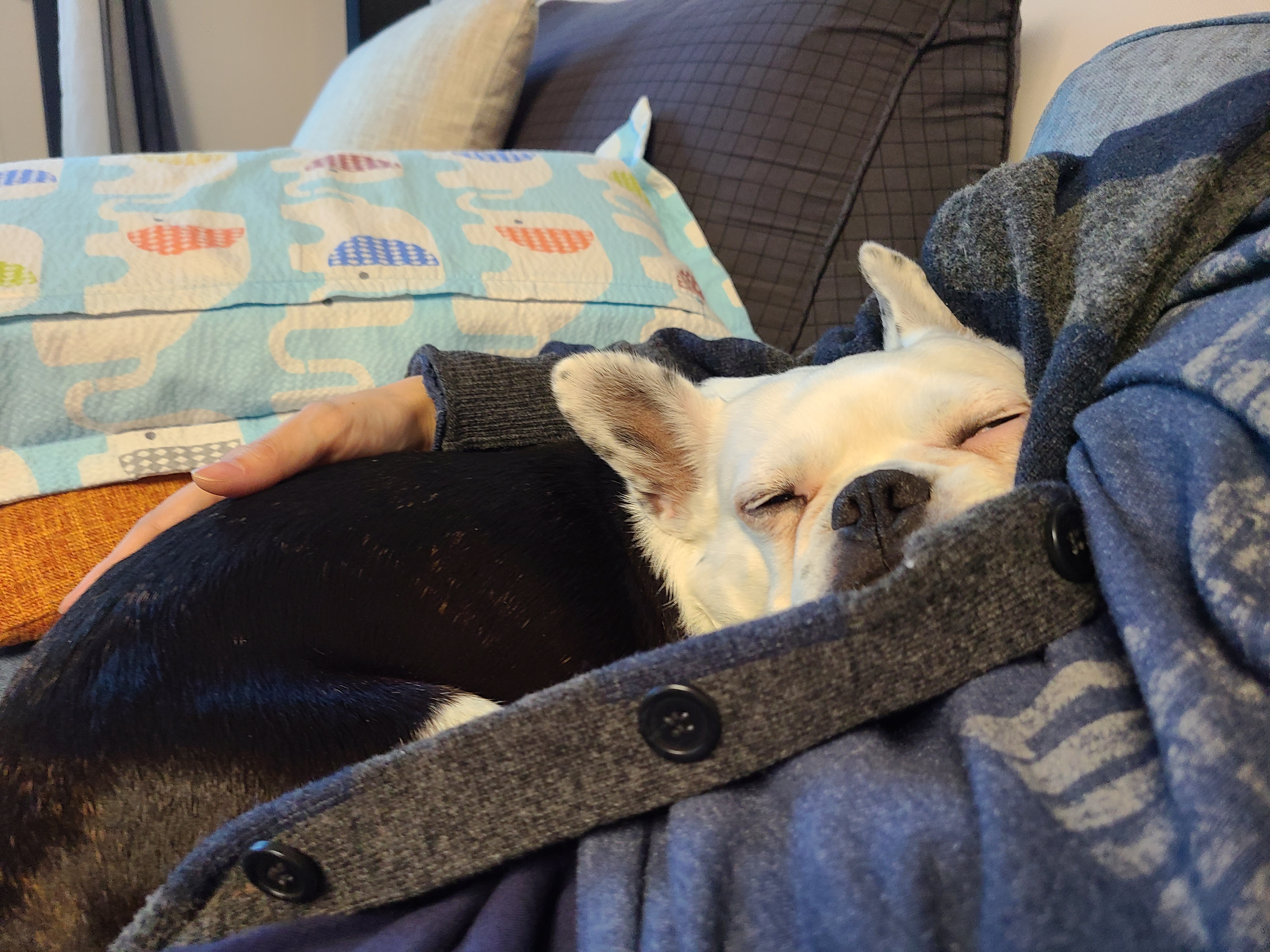 애둥이 온지 3개월^^