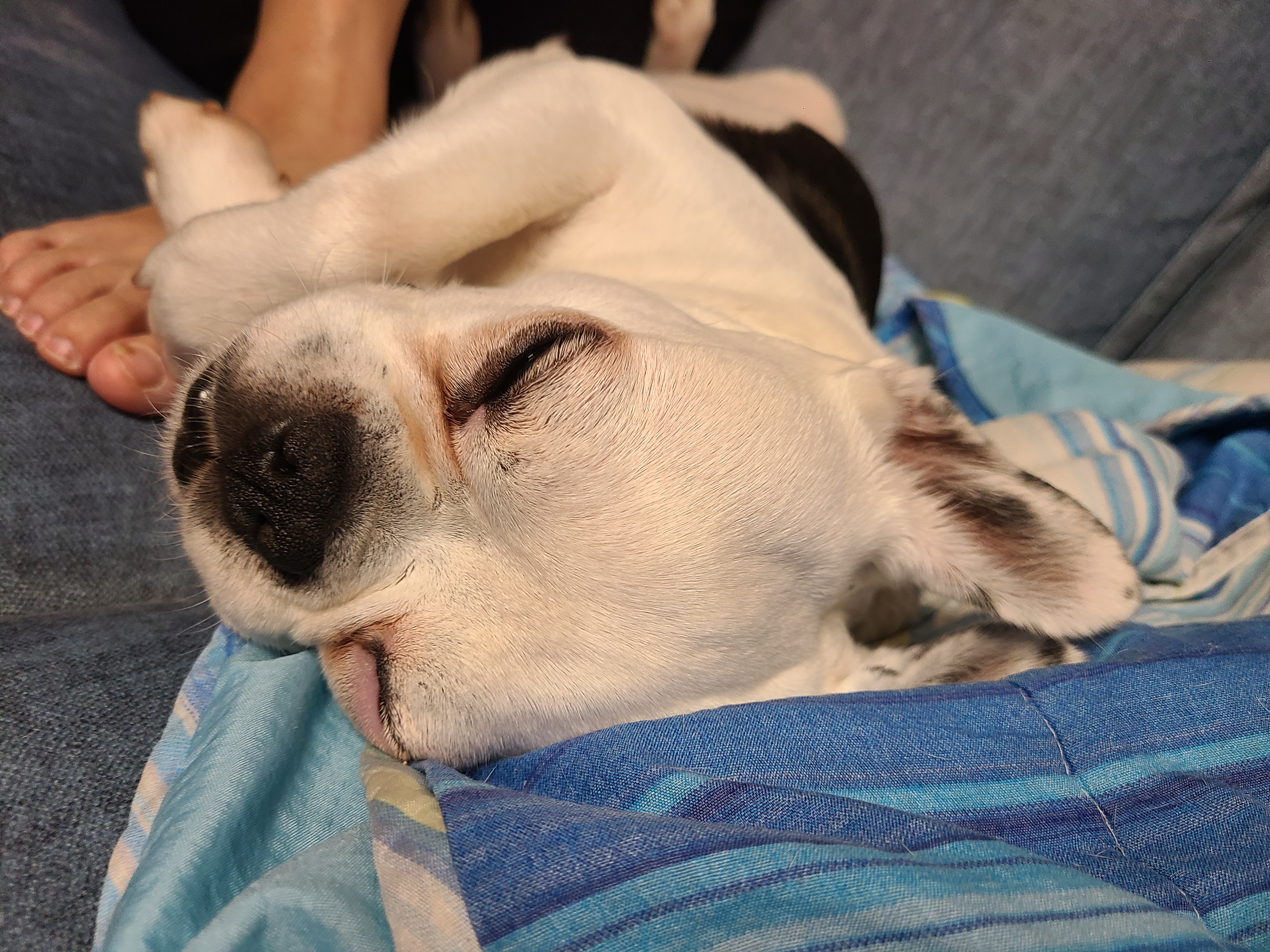 애둥이 온지 3개월^^