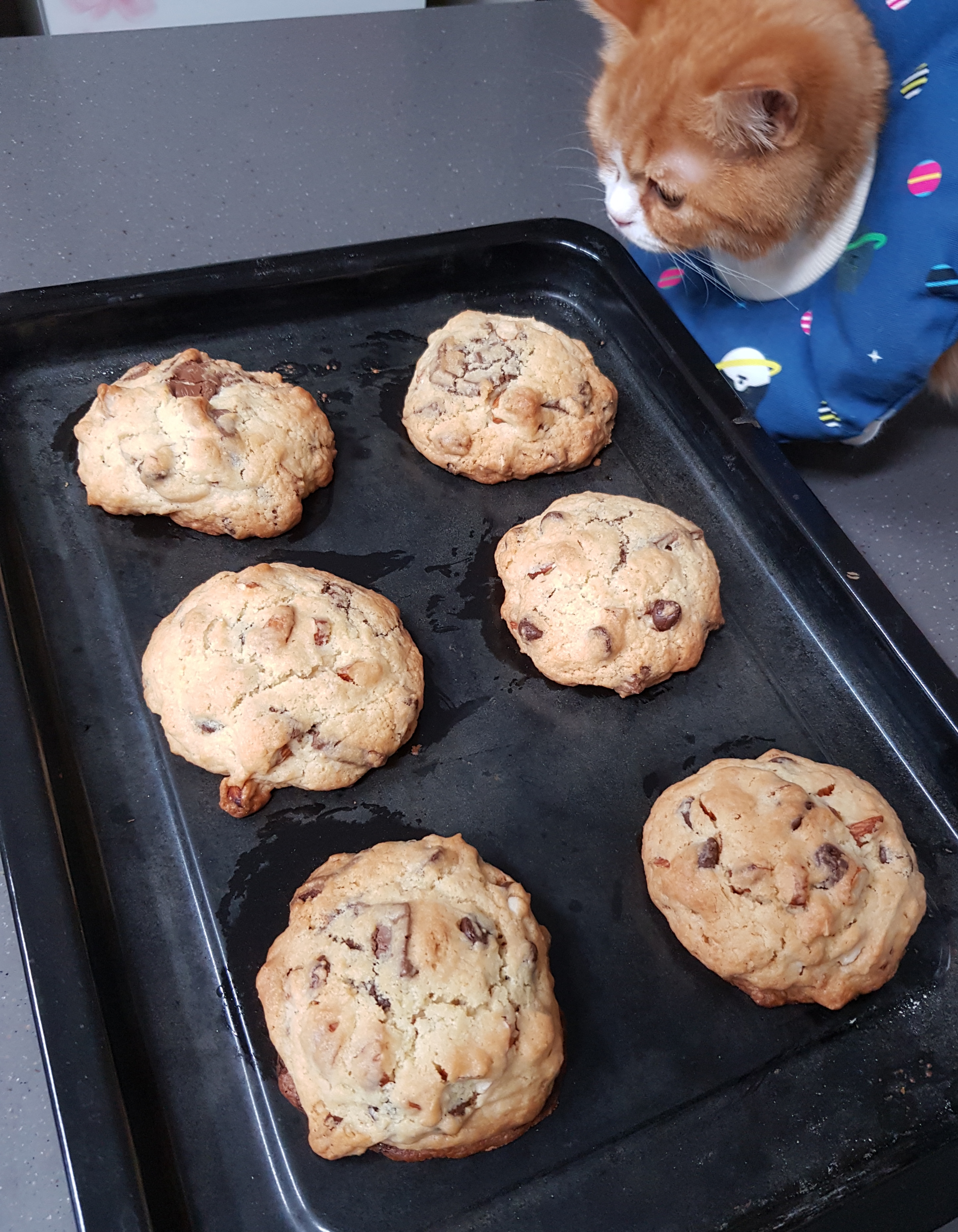 후추 슈가 3개월 후기