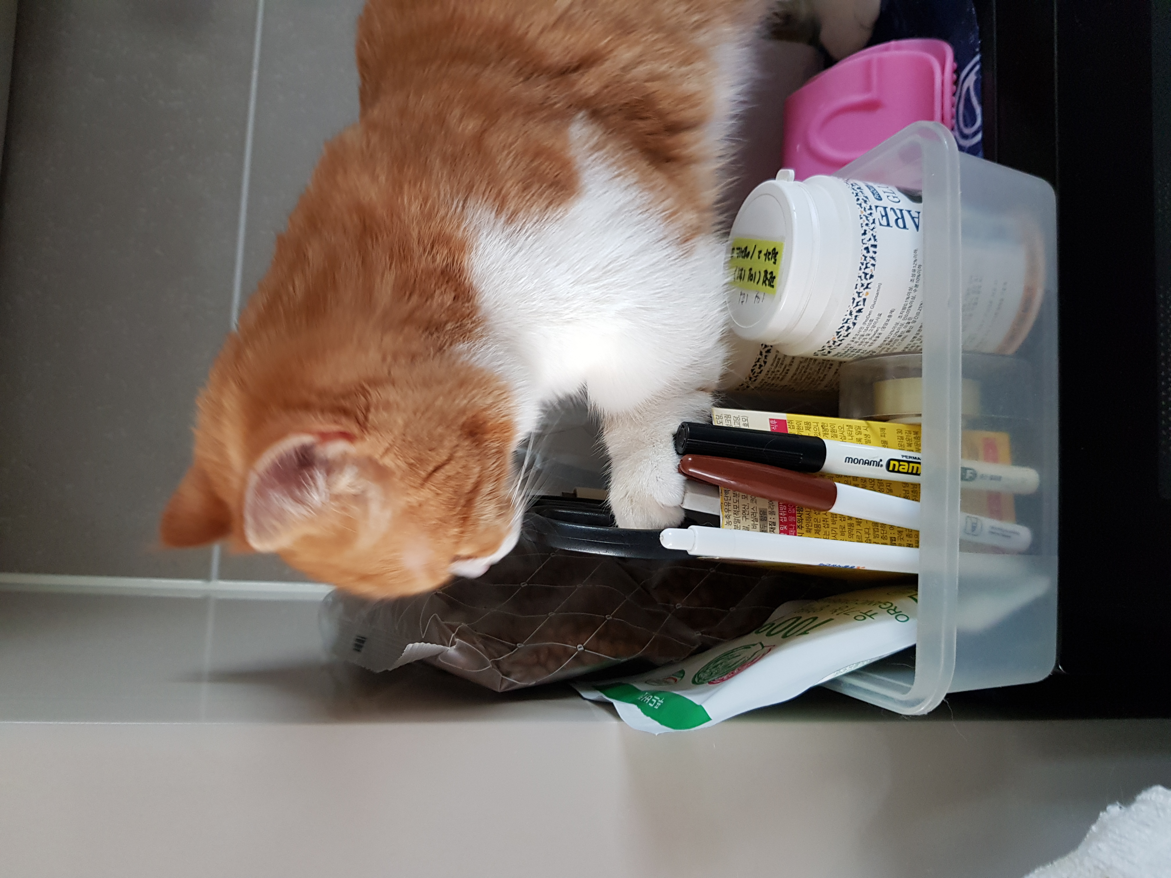 후추 슈가 3개월 후기