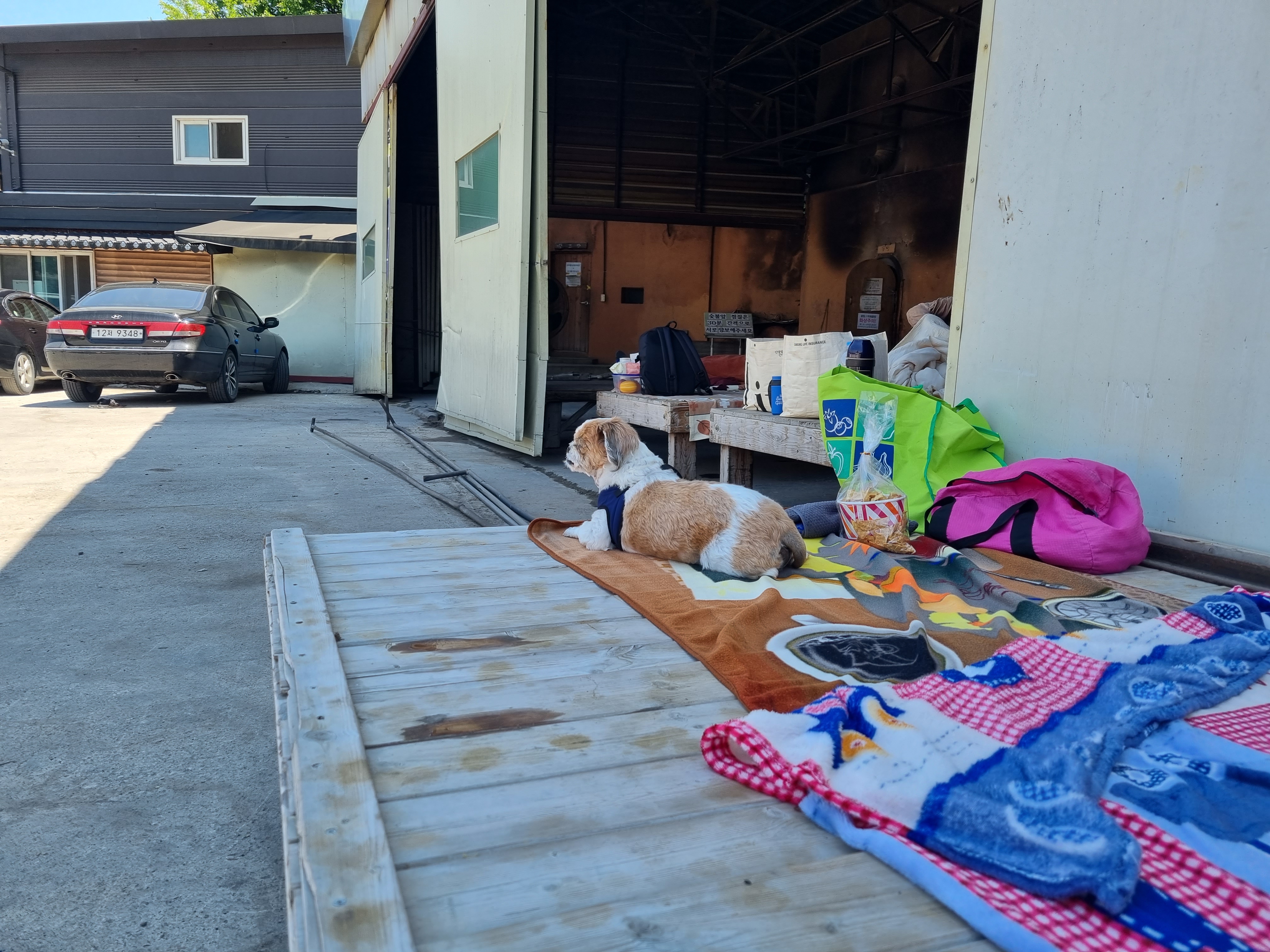 포동이의 숯가마 방문