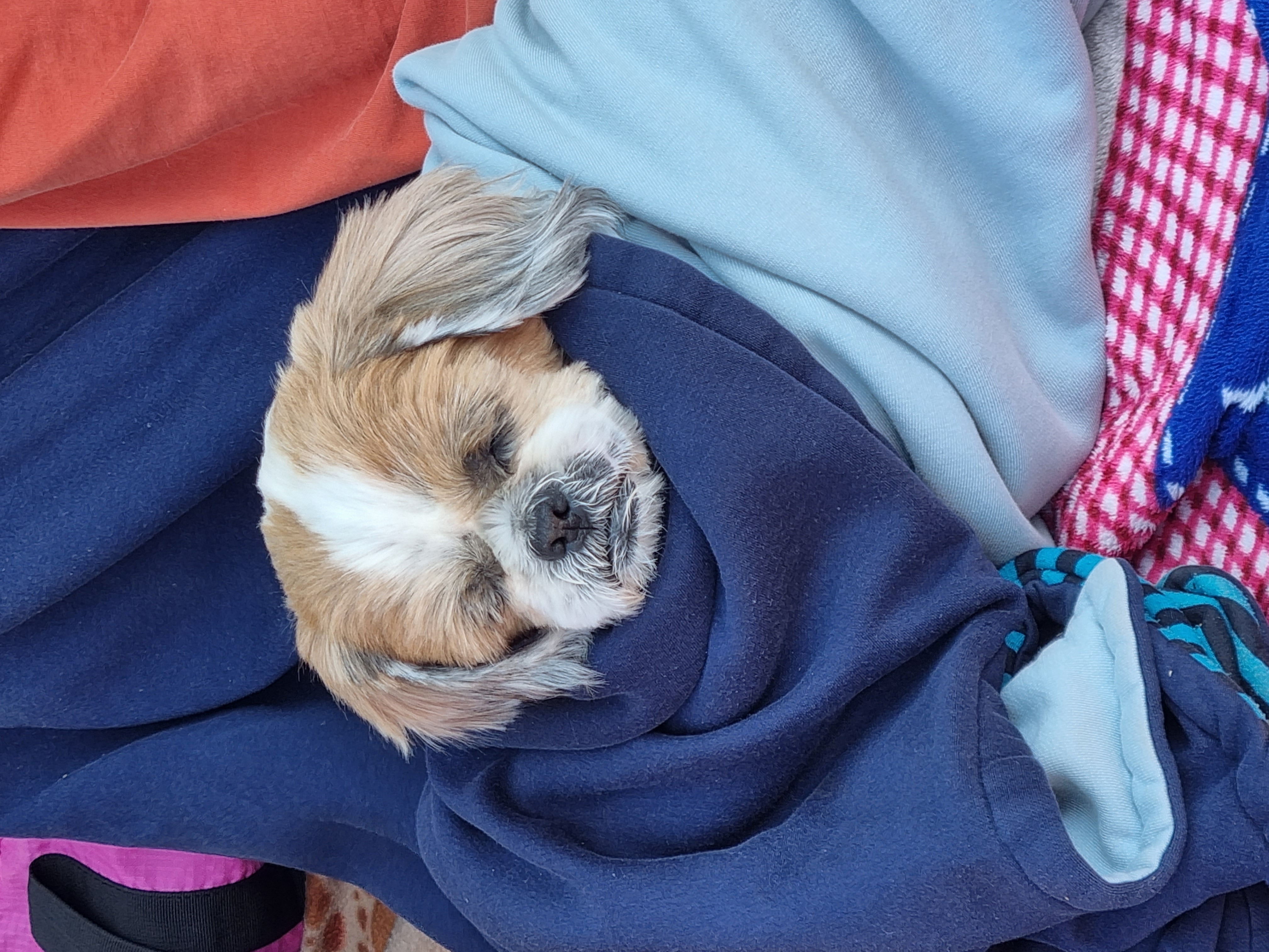 포동이의 숯가마 방문